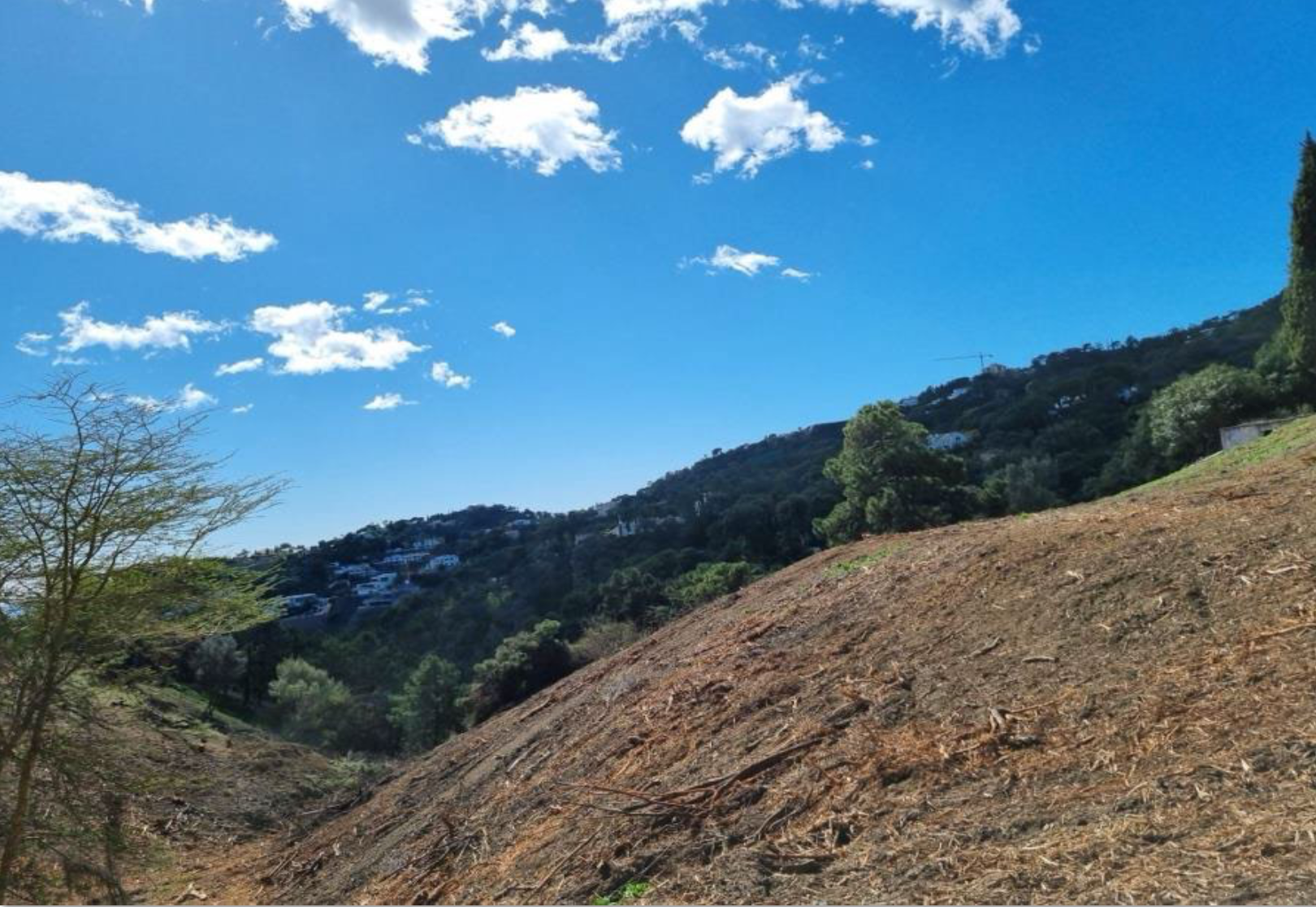 Plot · Benahavis · (BHHS-MAR-05982)