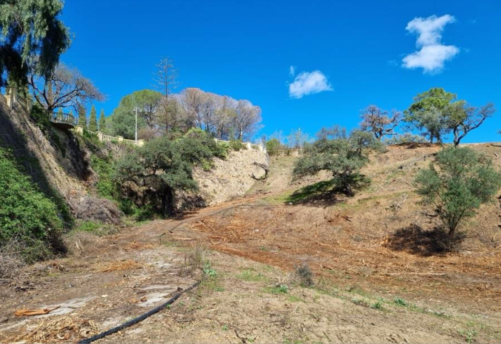 Plot · Benahavis · (BHHS-MAR-05982)