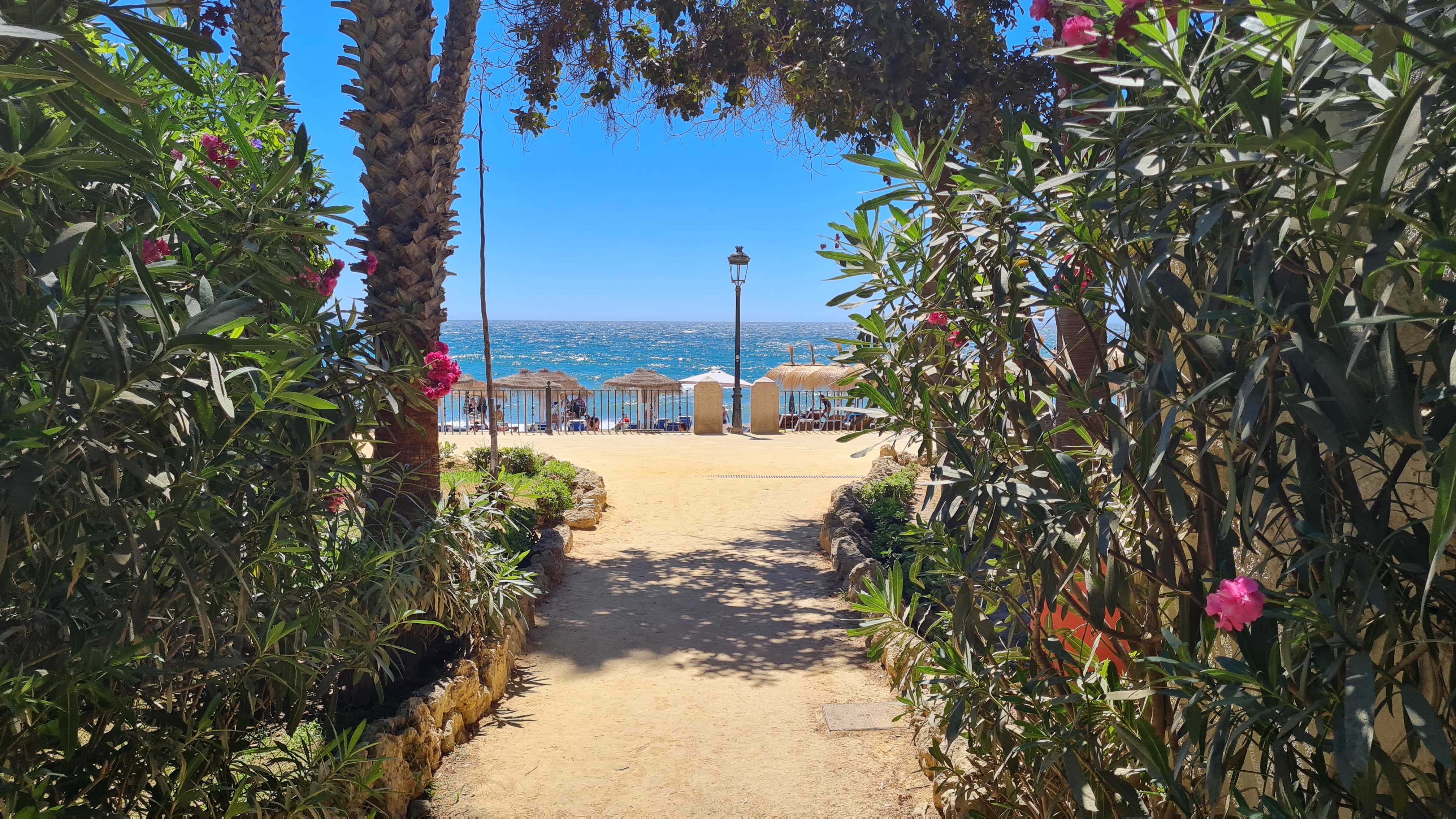 Apartment · Marbella · (6308)