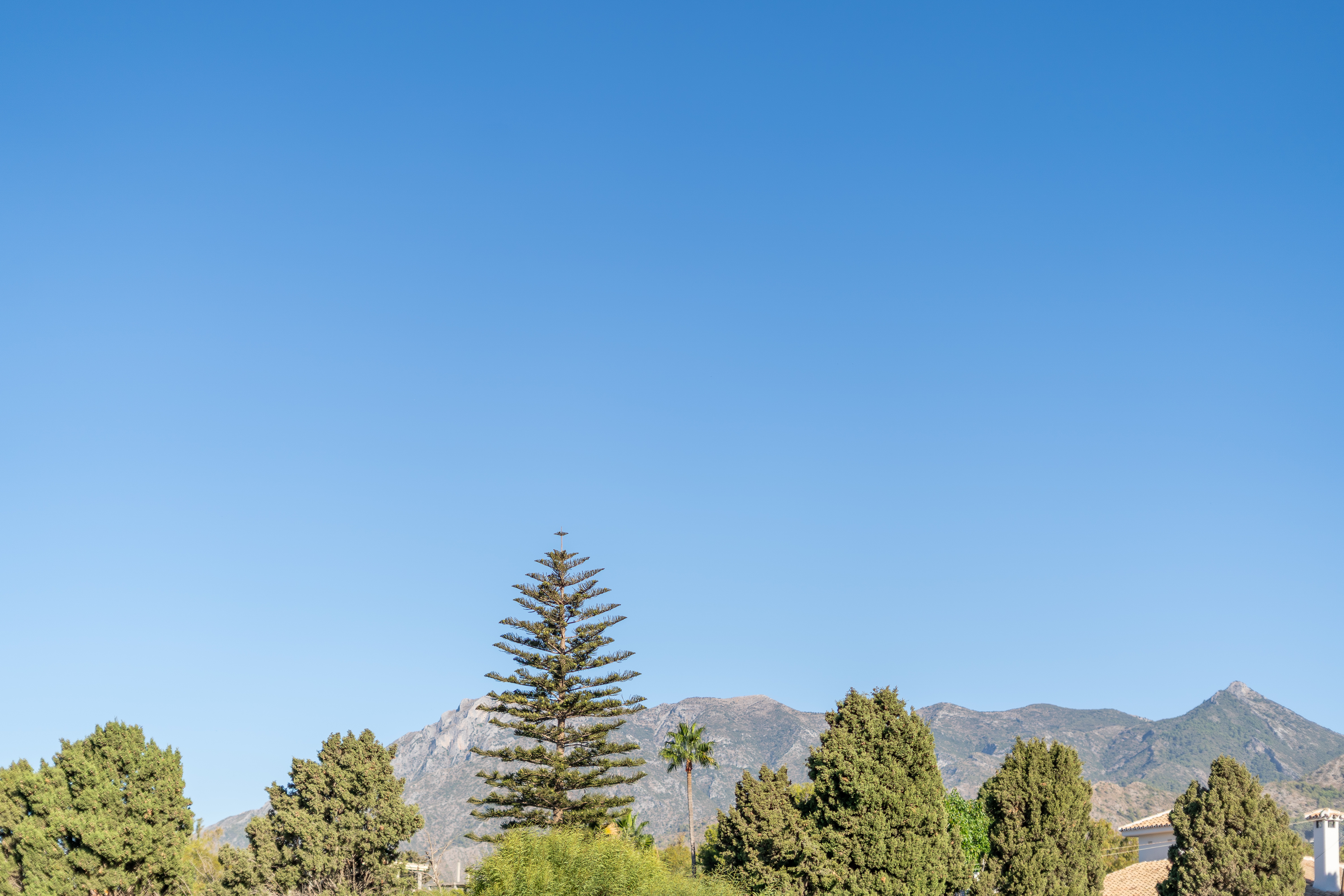 Villa · Marbella · (361-11701P-DUP)