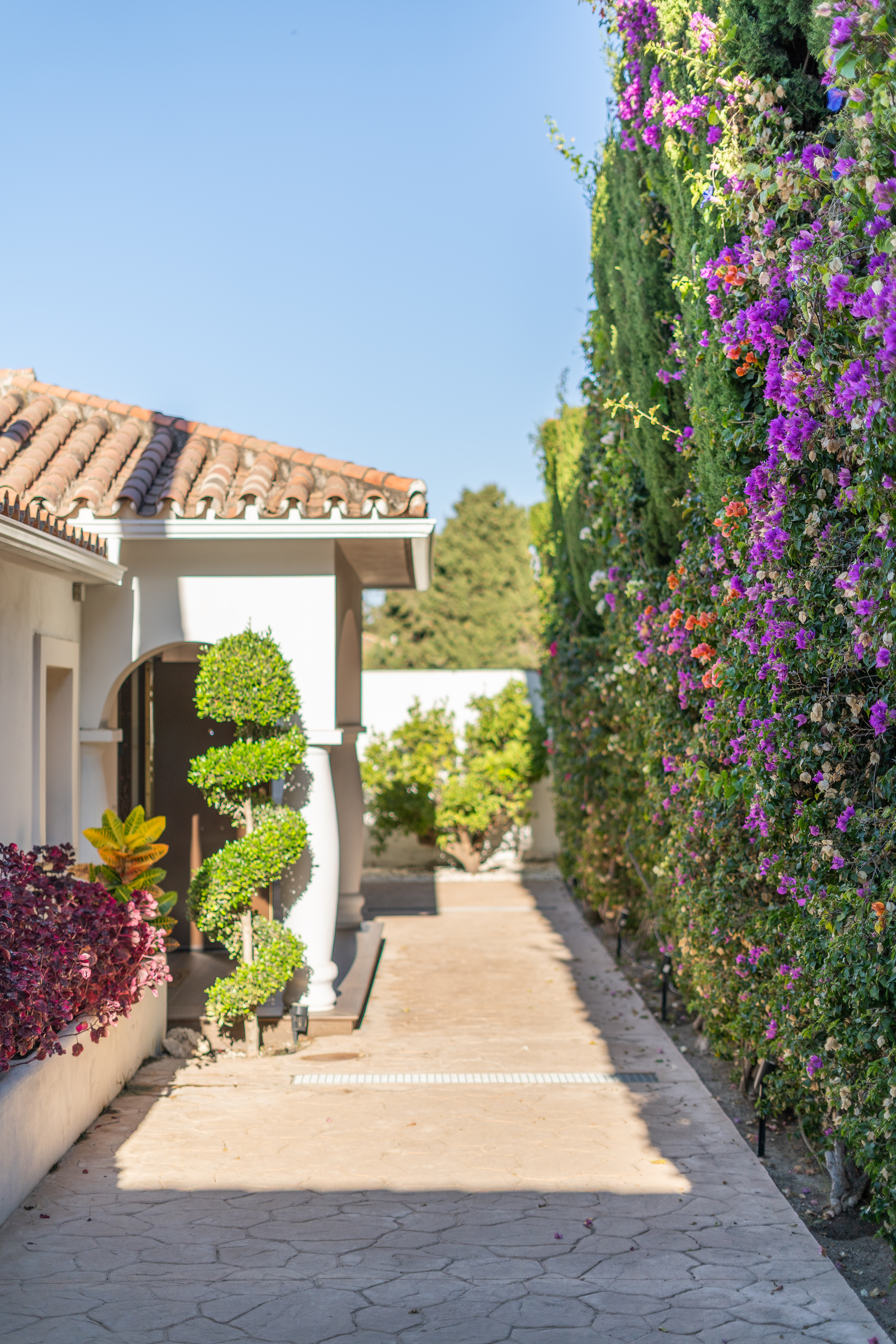Villa · Marbella · (361-11701P-DUP)