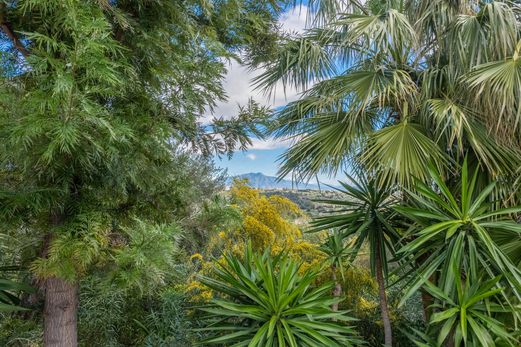 Villa · Estepona · (R4675324)
