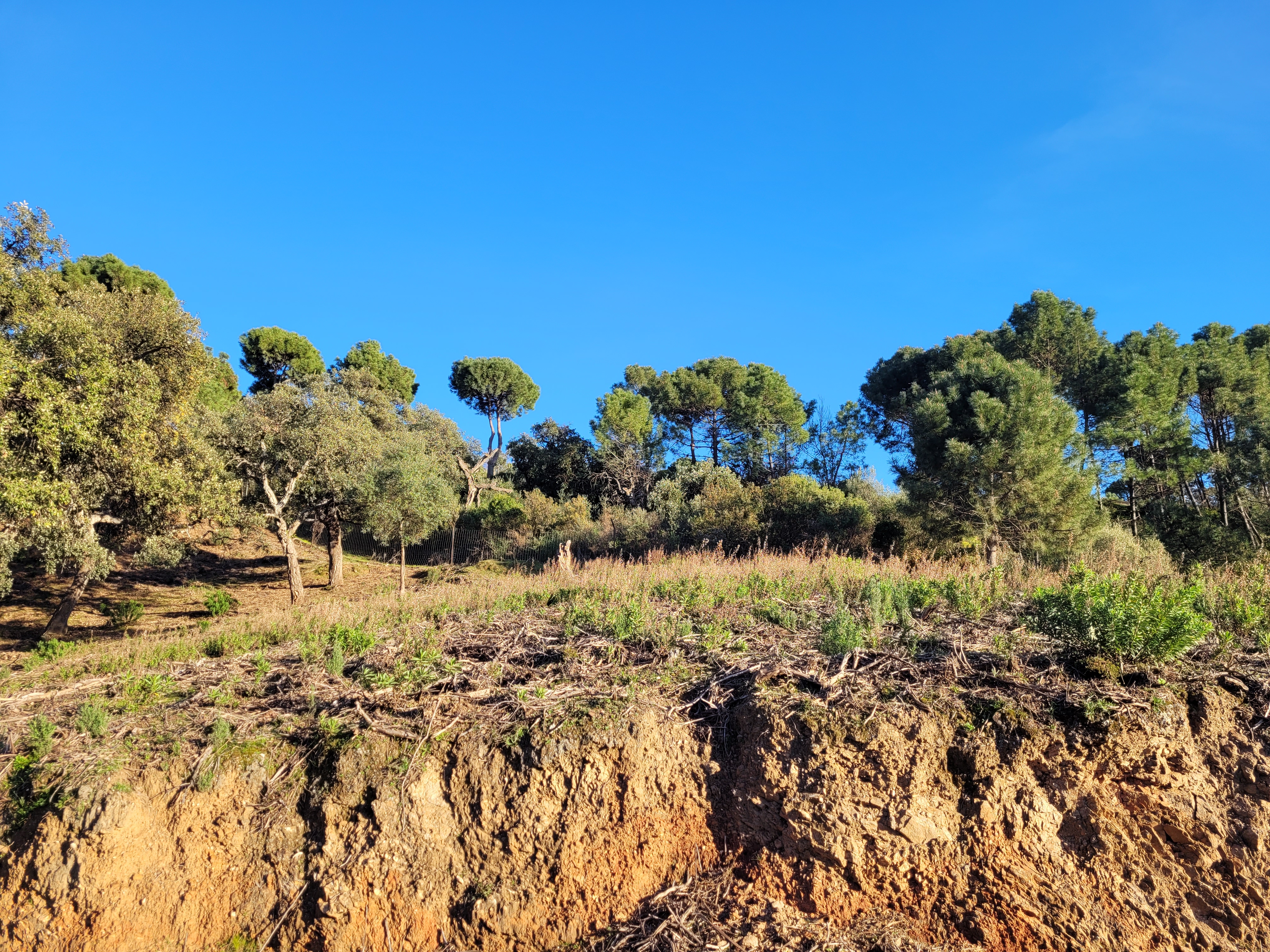 Plot · Benahavis · (P-22262-D)