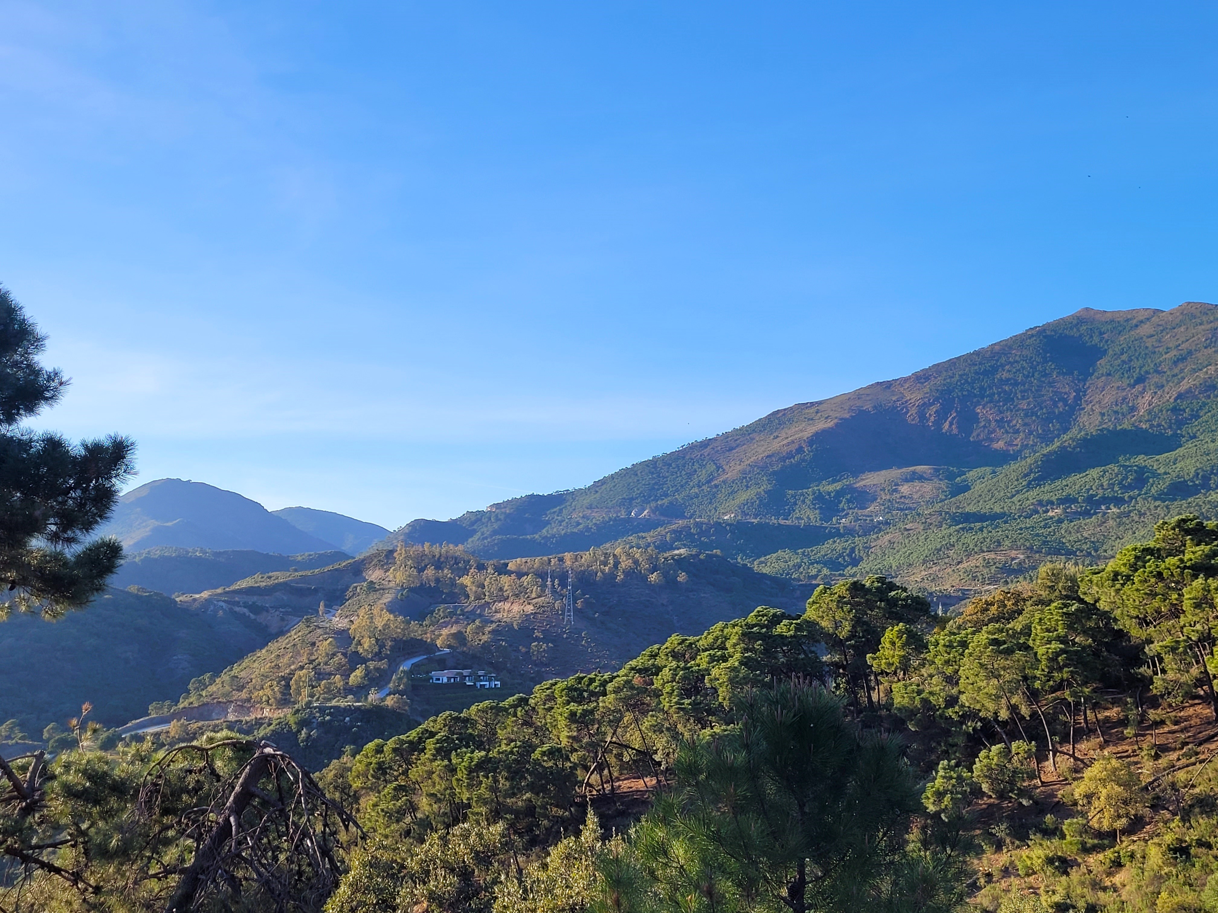 Plot · Benahavis · (P-22262-D)
