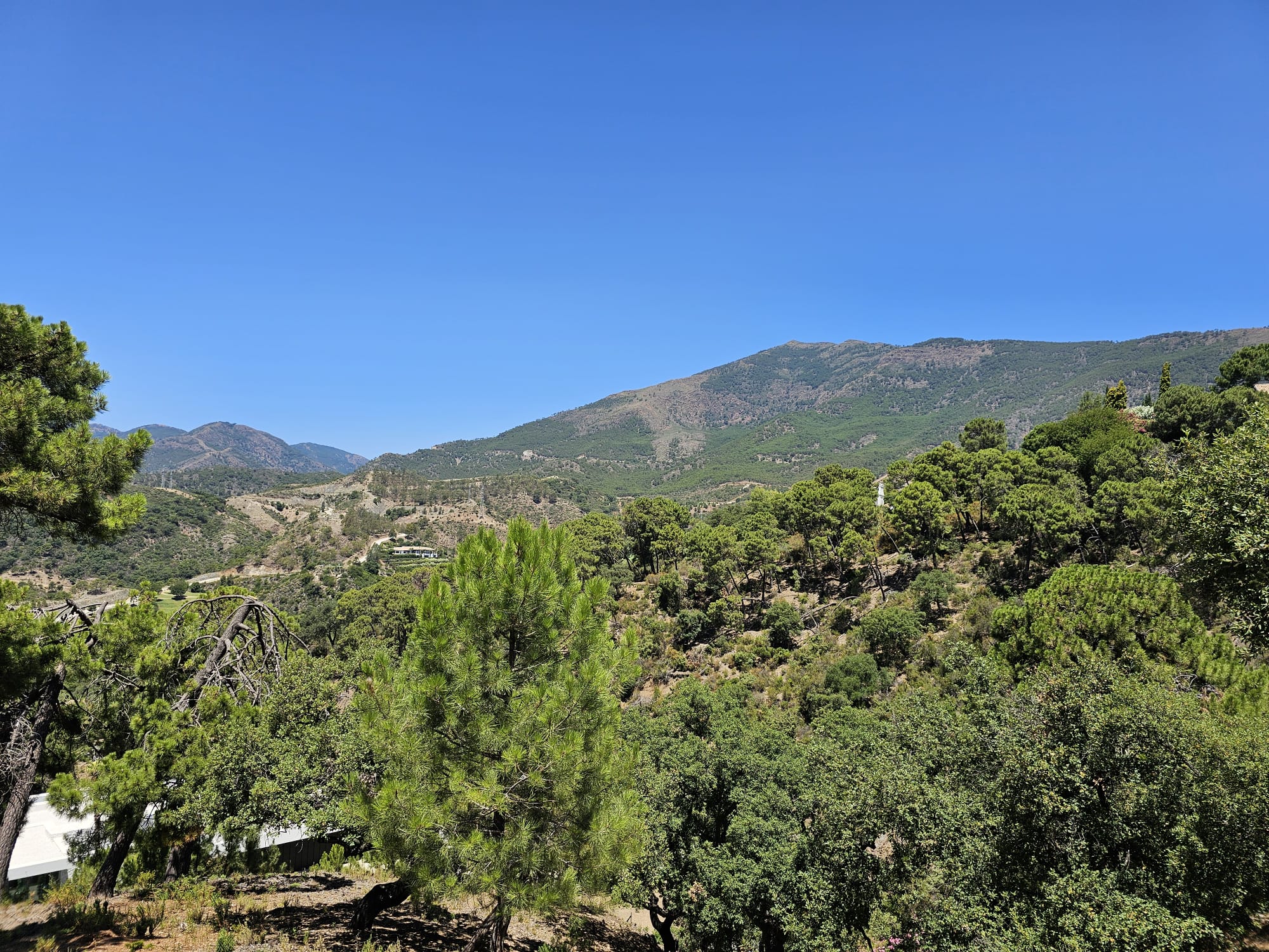 Plot · Benahavis · (P-22262-D)