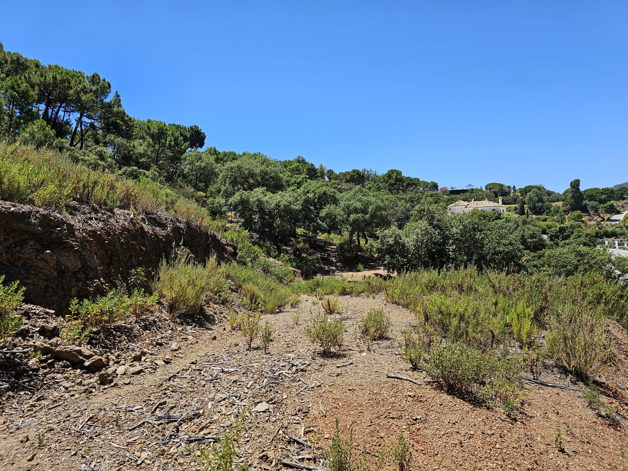 Plot · Benahavis · (P-22262-D)