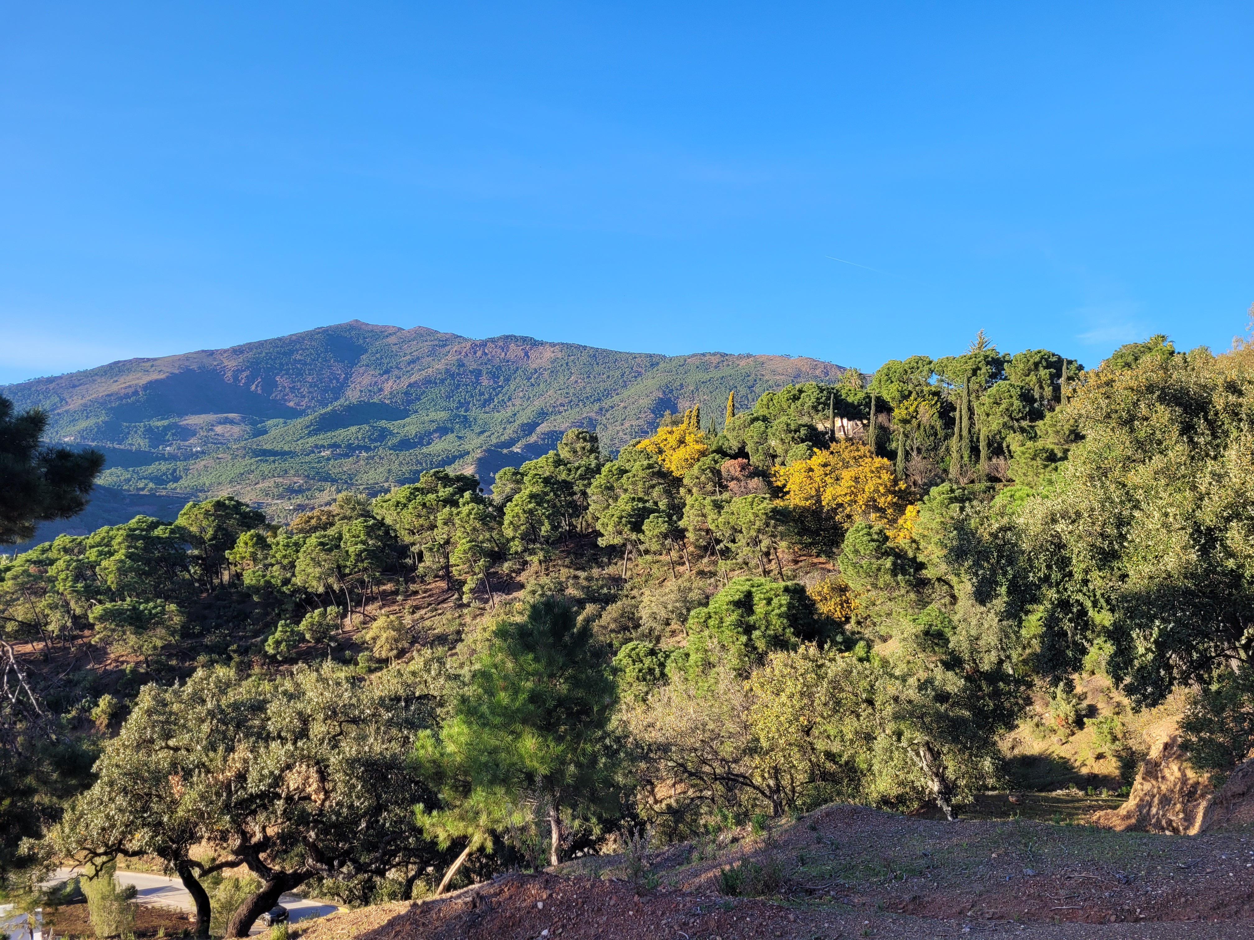 Plot · Benahavis · (P-22262-D)