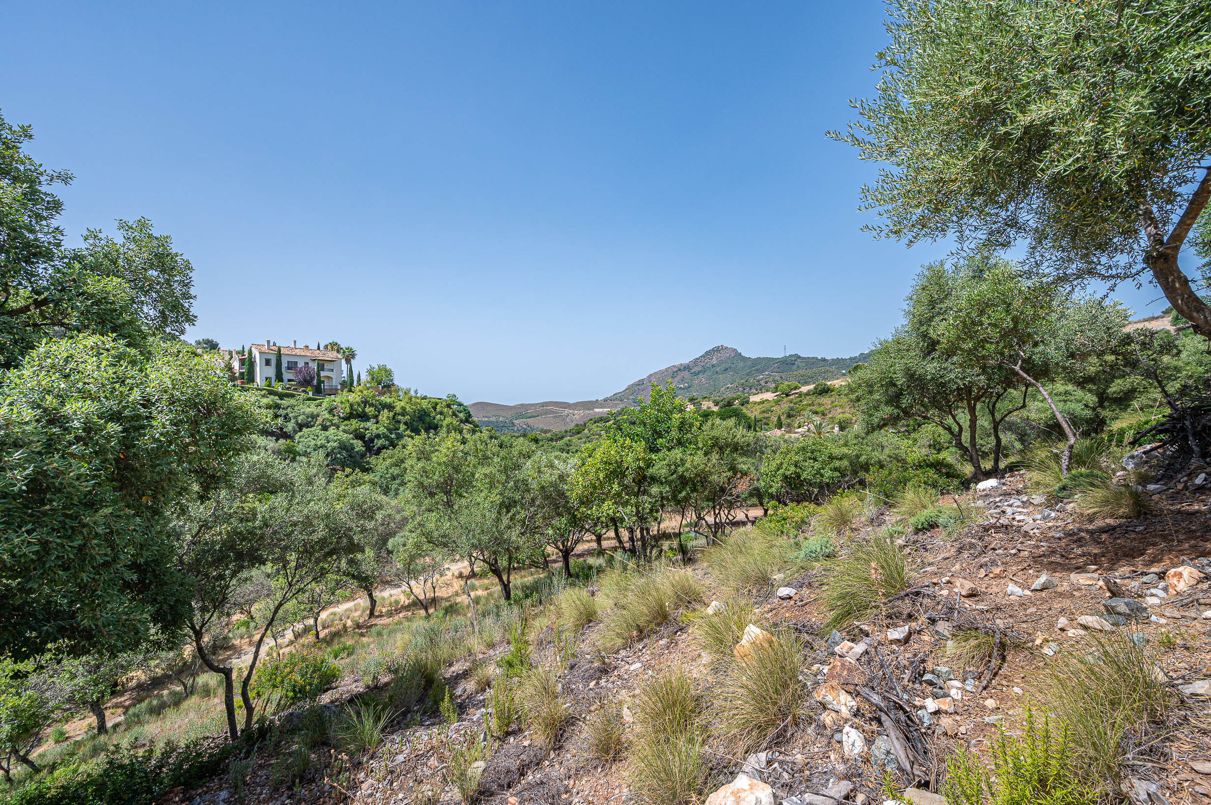 Plot · Benahavis · (P-22265-D)