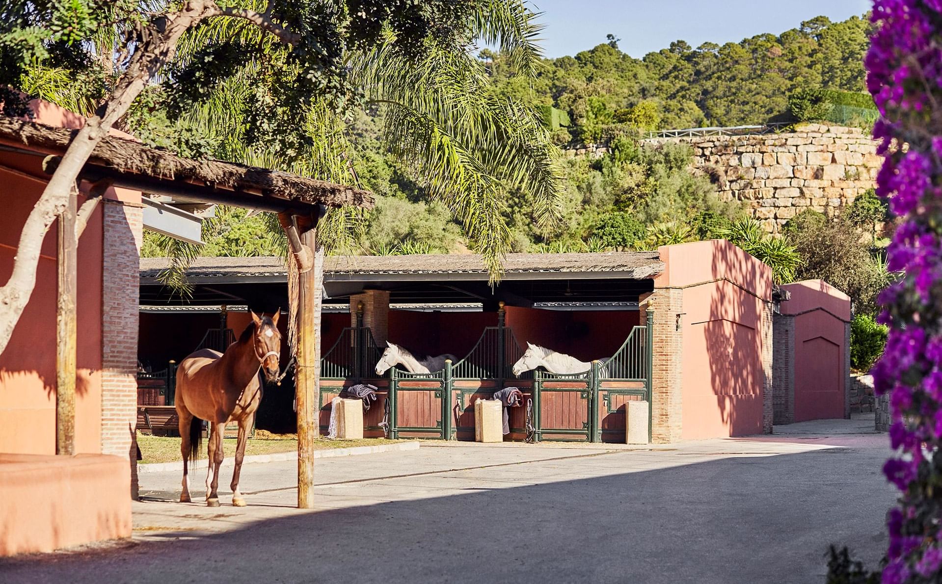Villa · Benahavis · (V9095)