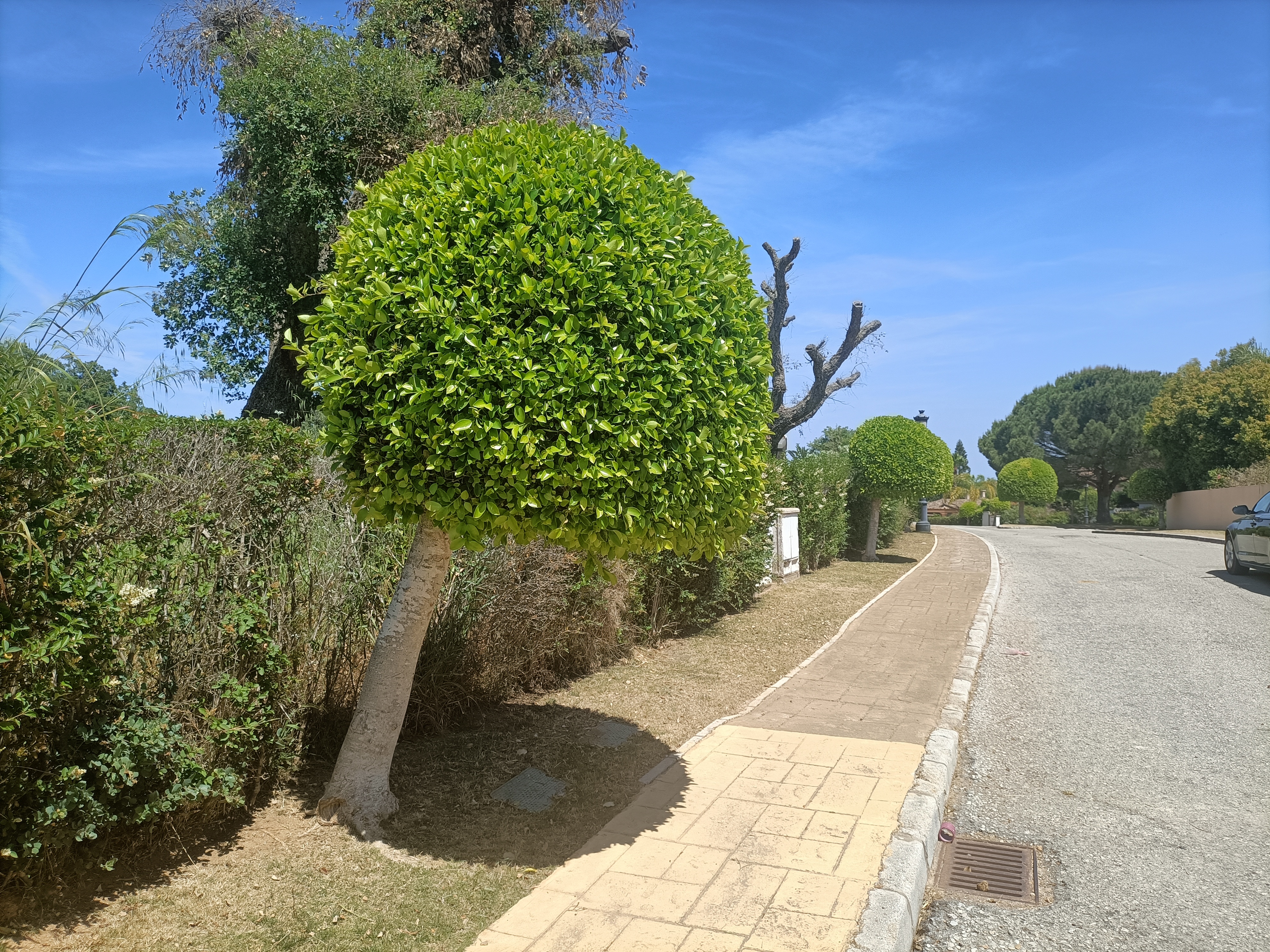 Villa · San Roque · (V080)