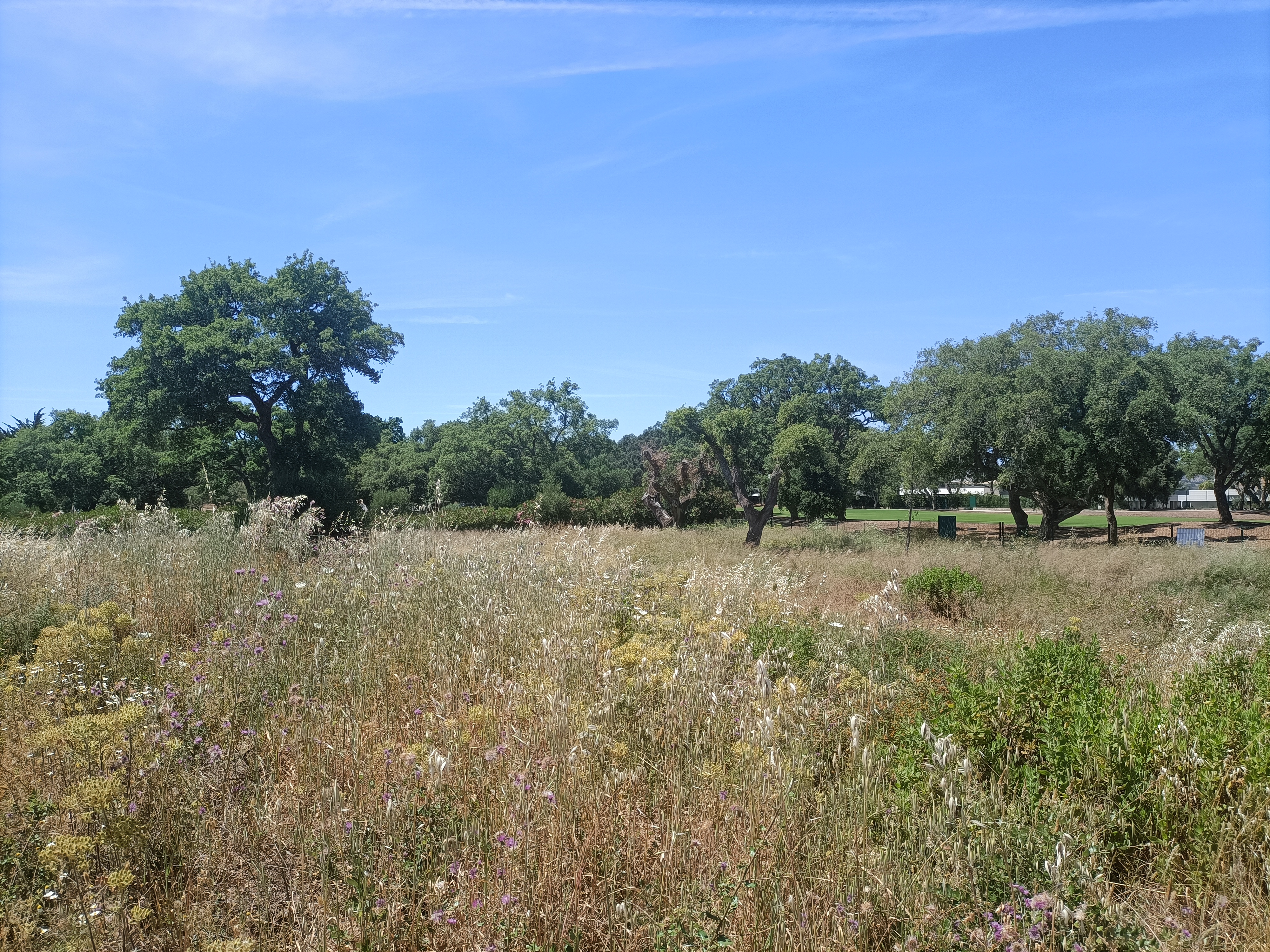 Villa · San Roque · (V080)