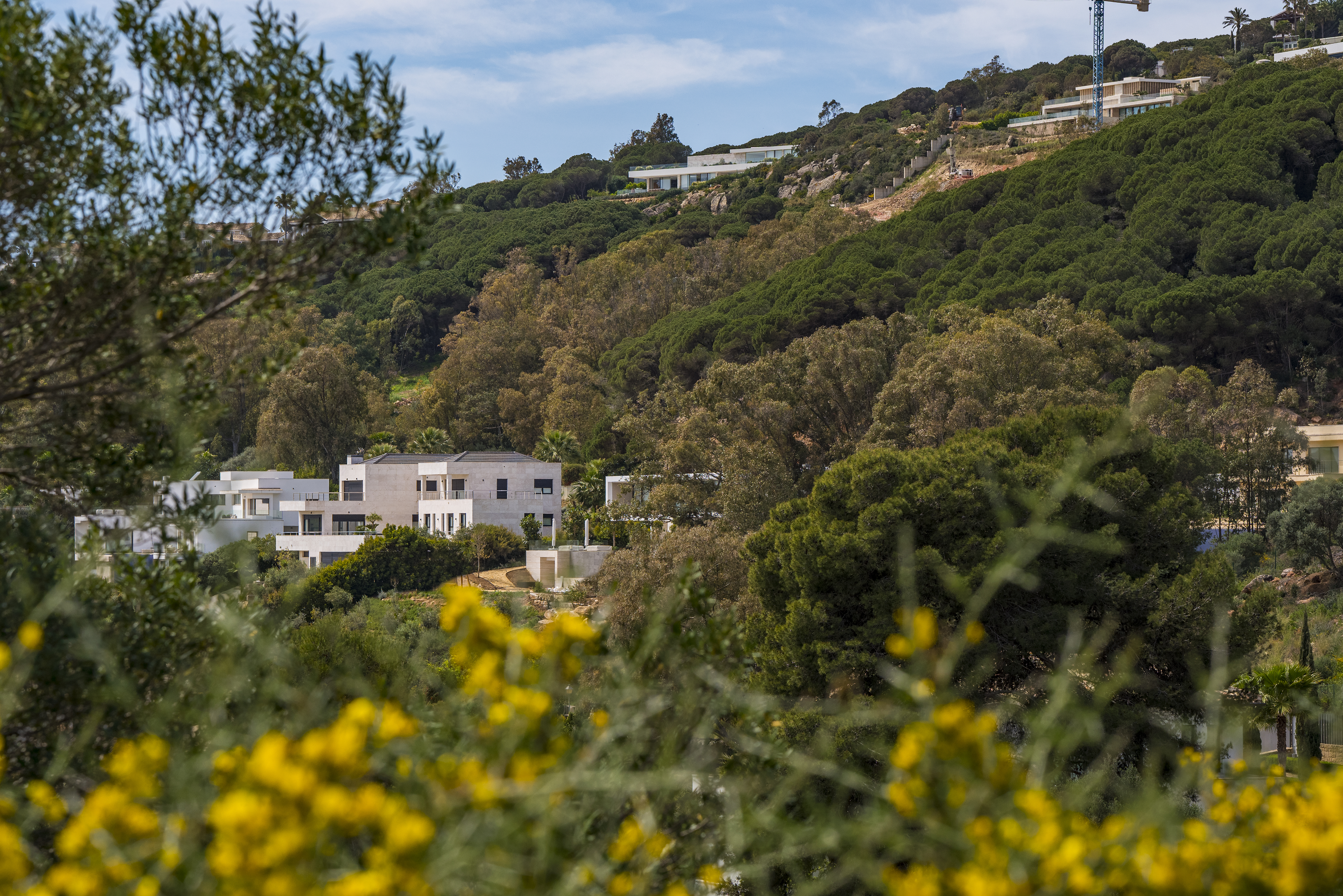 Villa · Sotogrande · (VI23145)