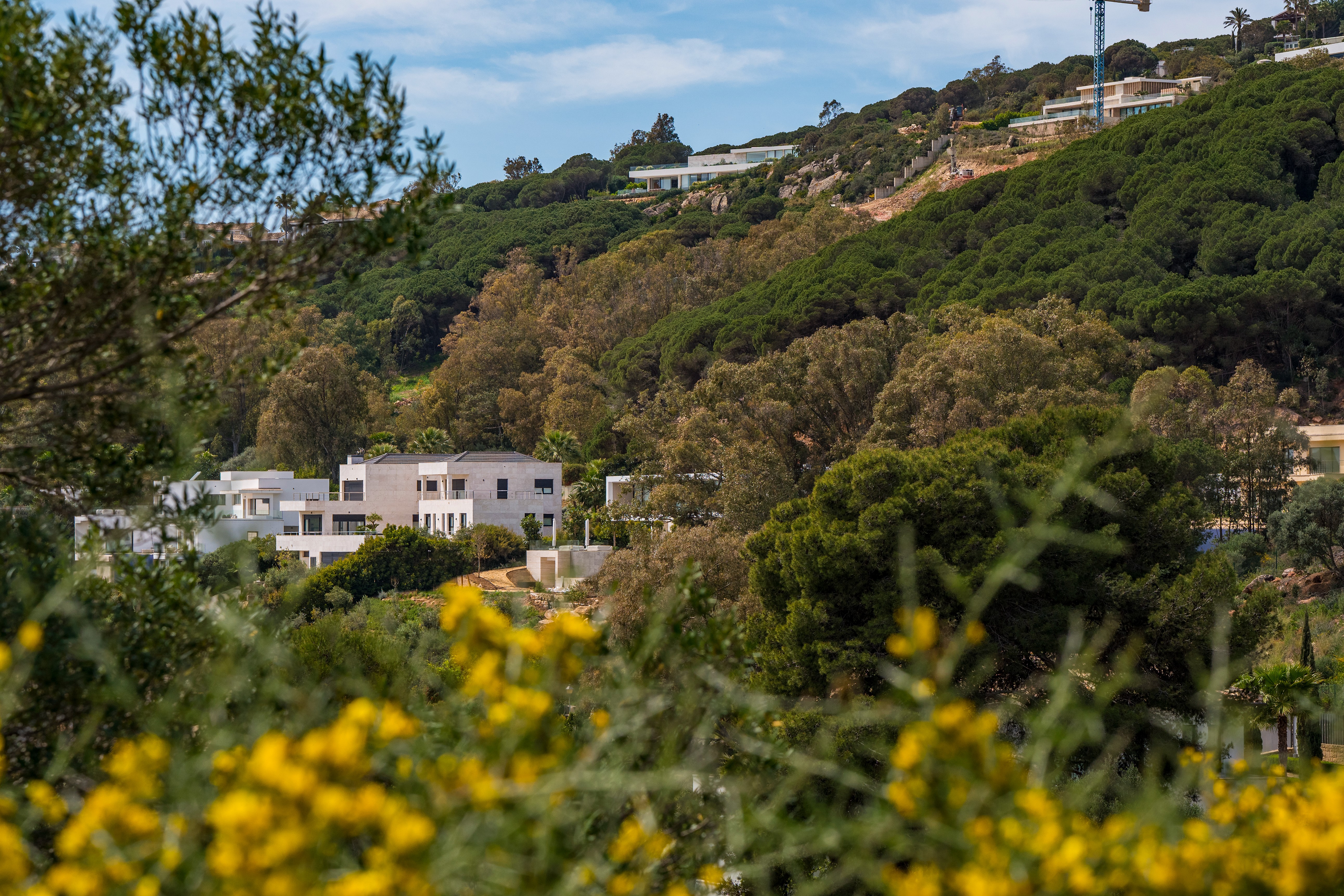 Villa · Sotogrande · (VI23145)