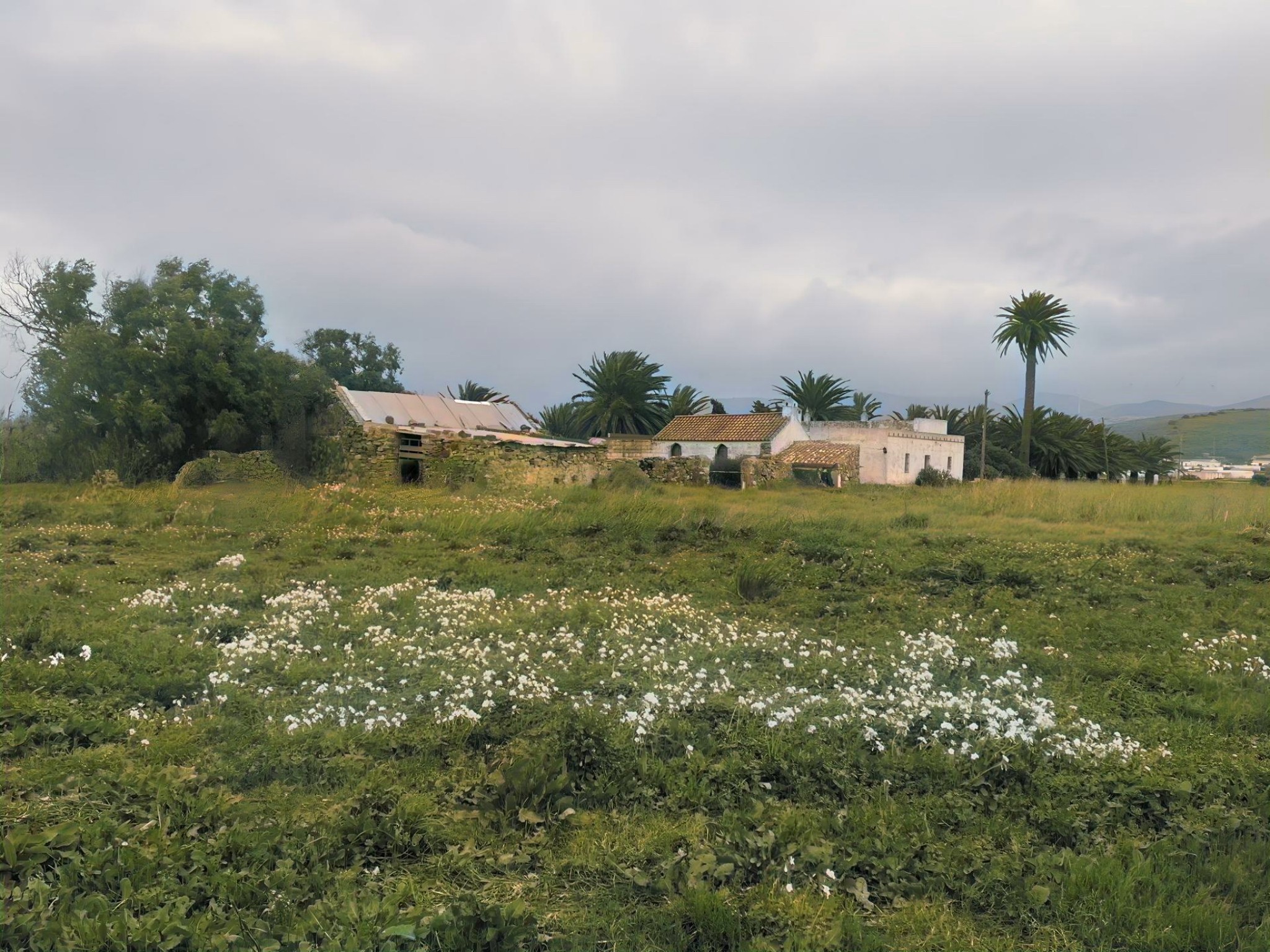 Cortijo · Tarifa · (bella00212)