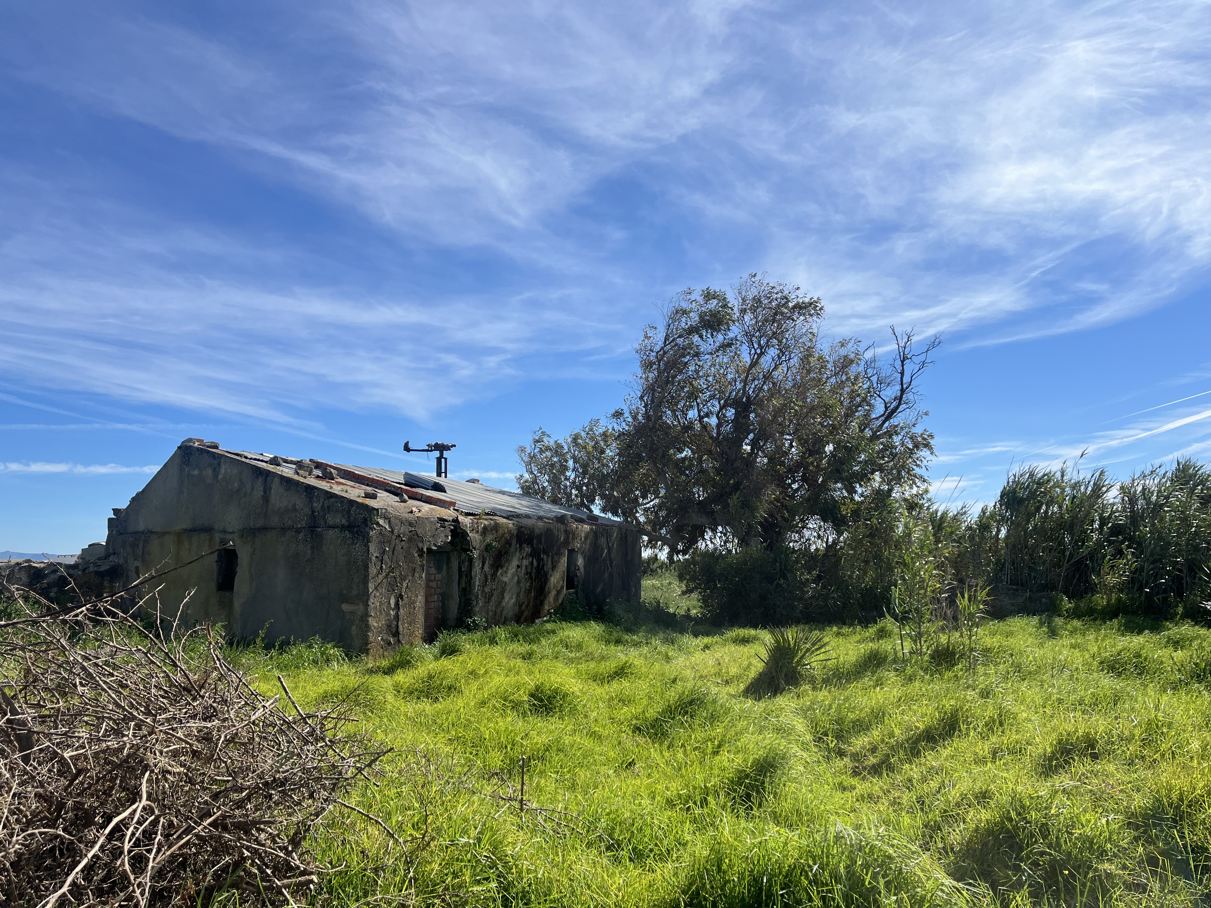 Cortijo · Tarifa · (bella00212)