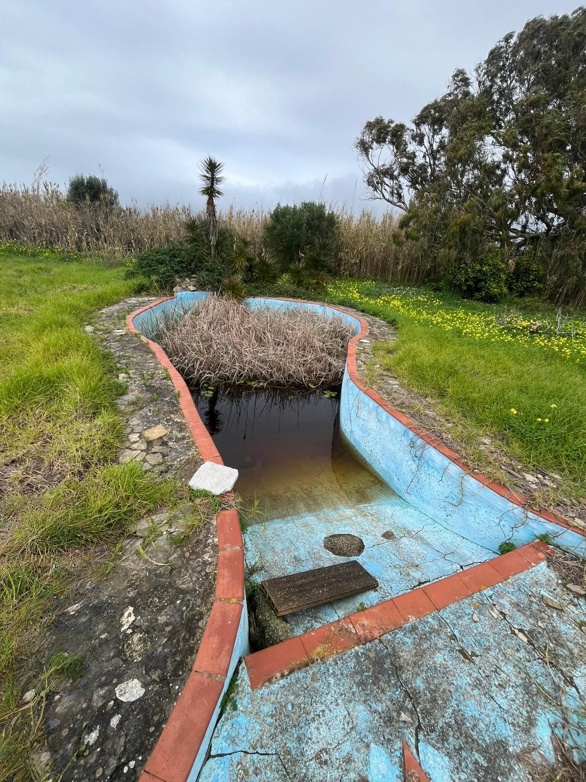 Cortijo · Tarifa · (bella00212)