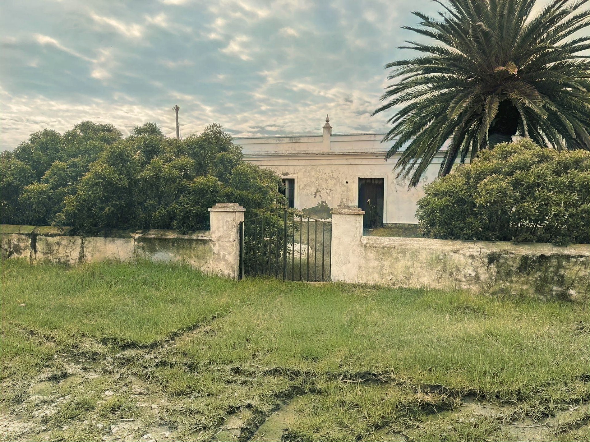 Cortijo · Tarifa · (bella00212)