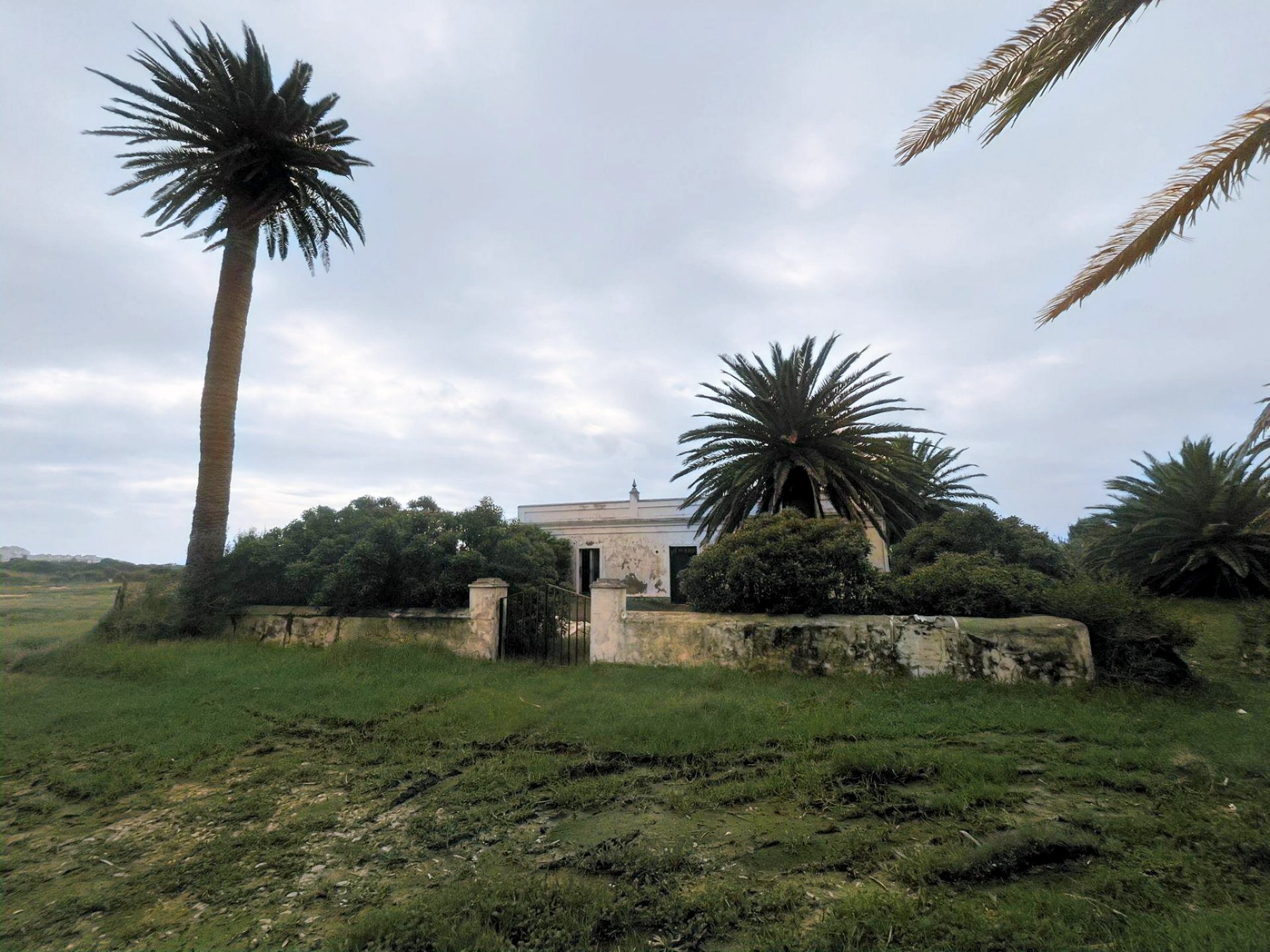 Cortijo · Tarifa · (bella00212)