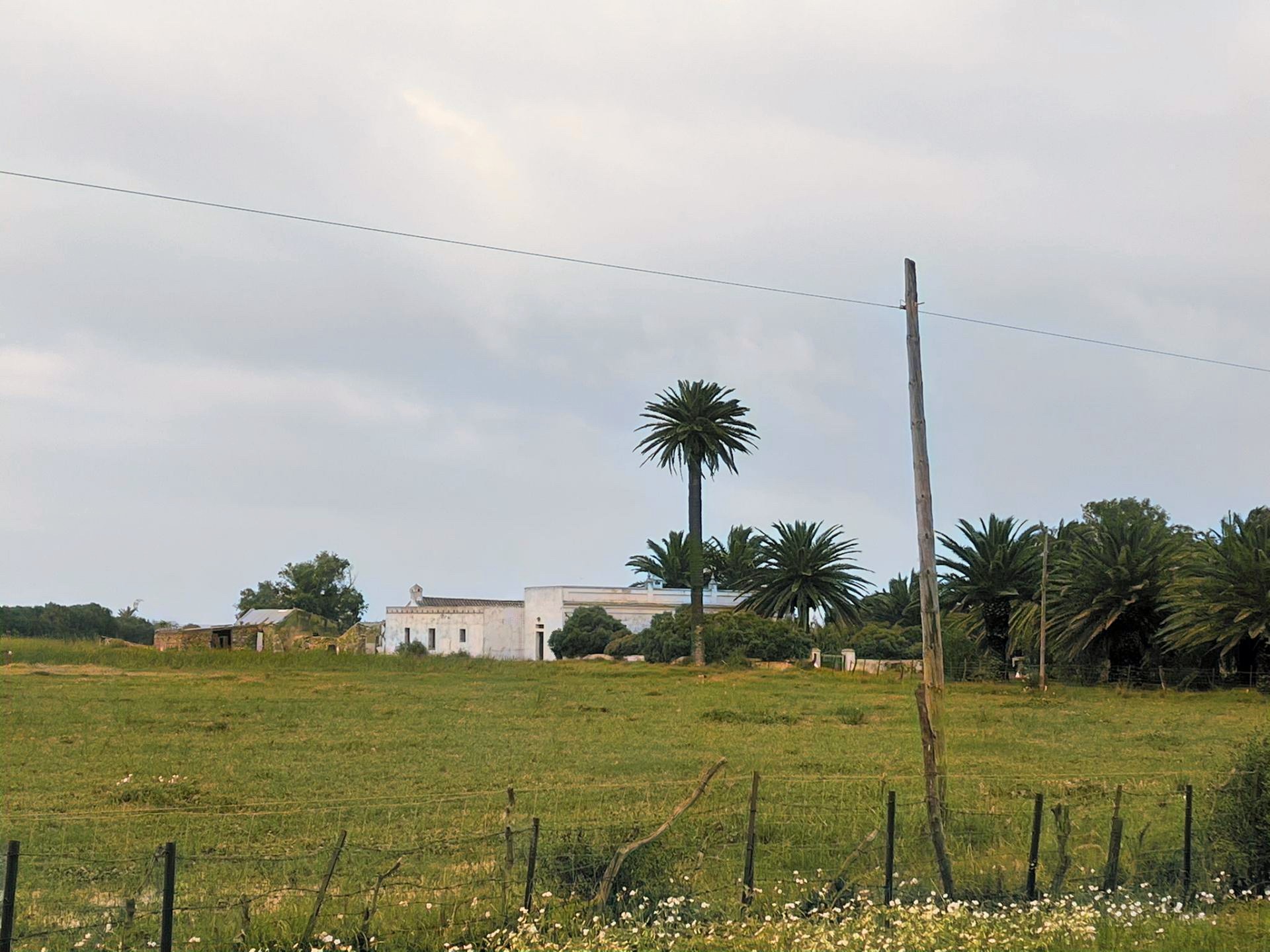 Cortijo · Tarifa · (bella00212)