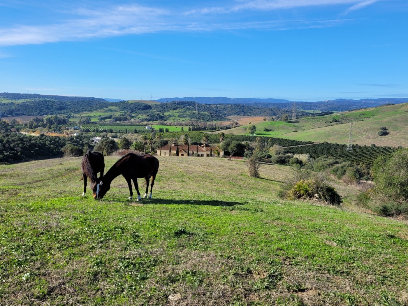 Villa · San Martin del Tesorillo · (bella0008)
