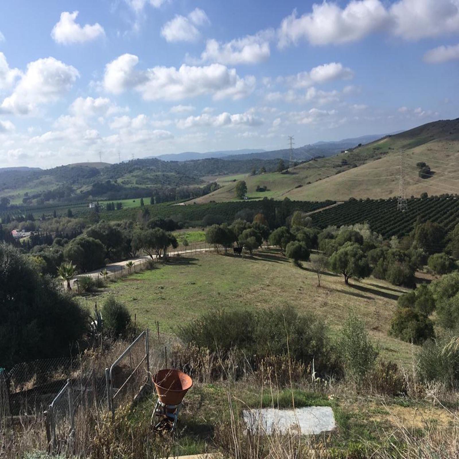 Villa · San Martin del Tesorillo · (bella0008)