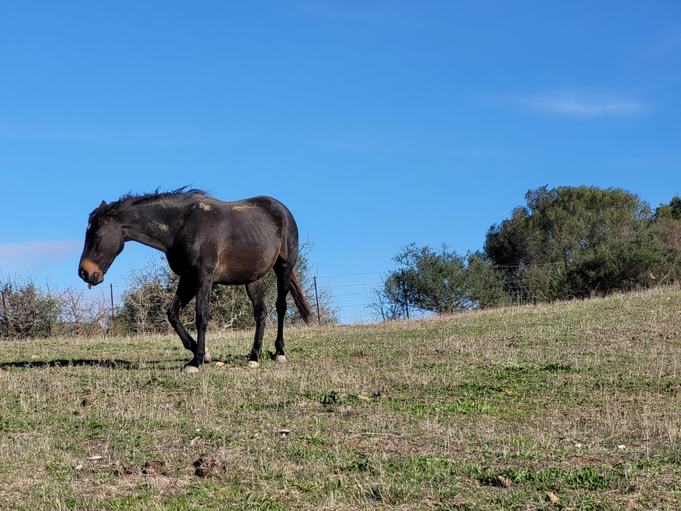 Villa · San Martin del Tesorillo · (bella0008)