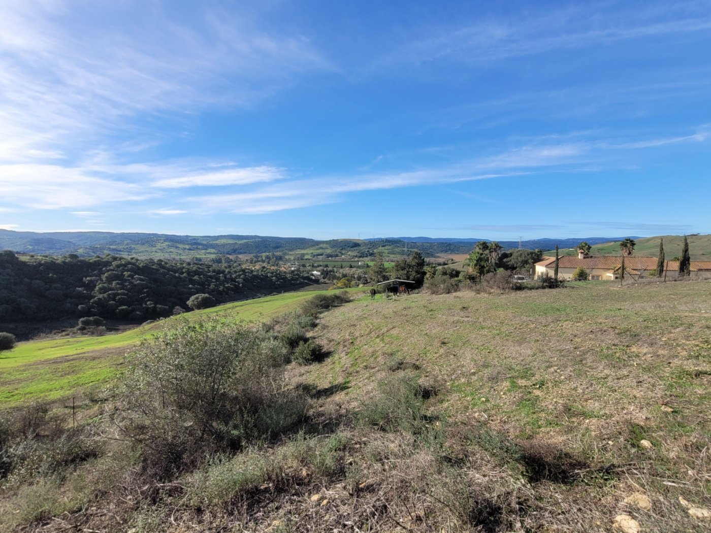 Villa · San Martin del Tesorillo · (bella0008)