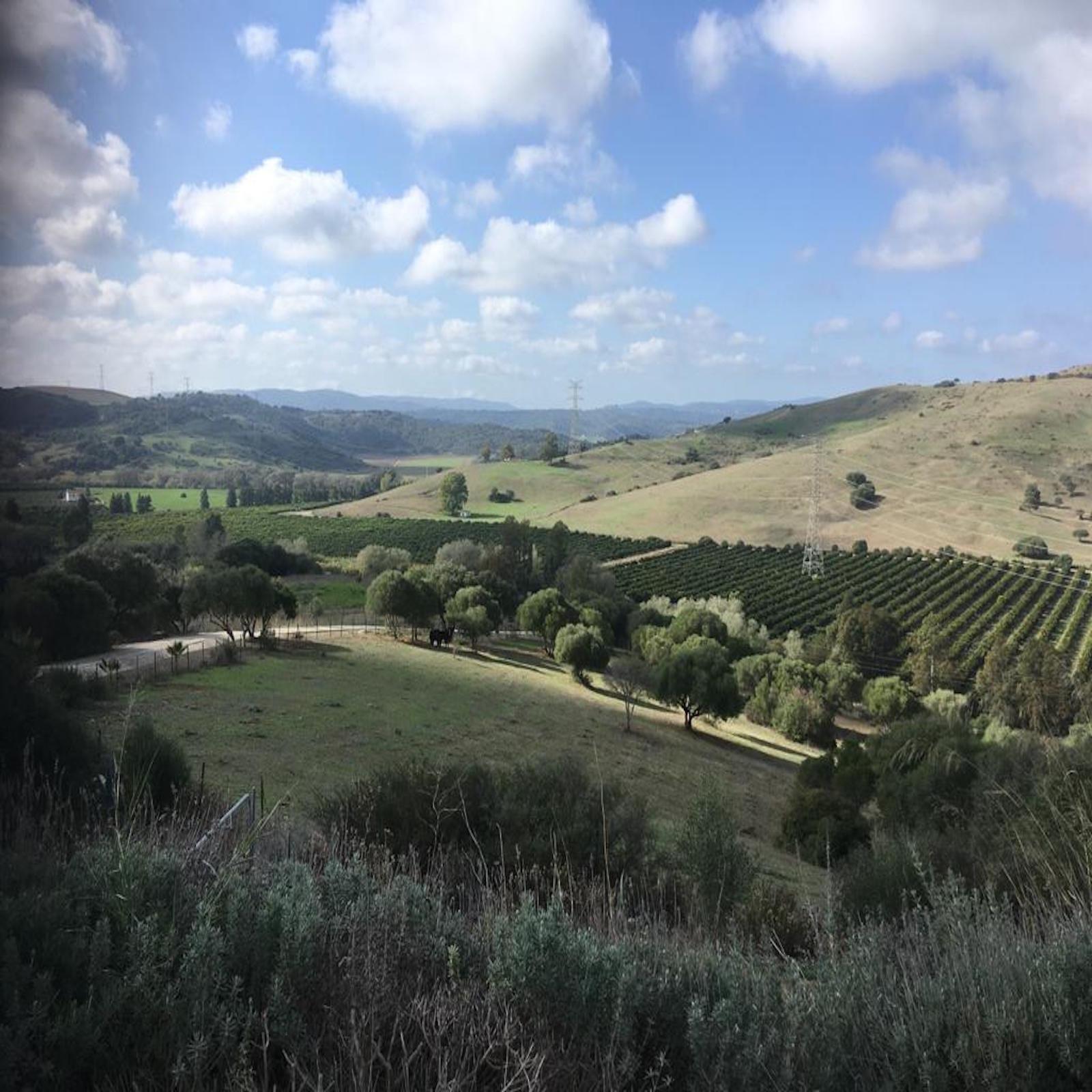 Villa · San Martin del Tesorillo · (bella0008)