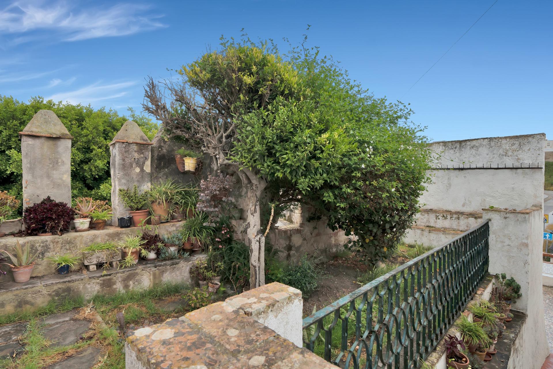 House · Tarifa · (bella00146)
