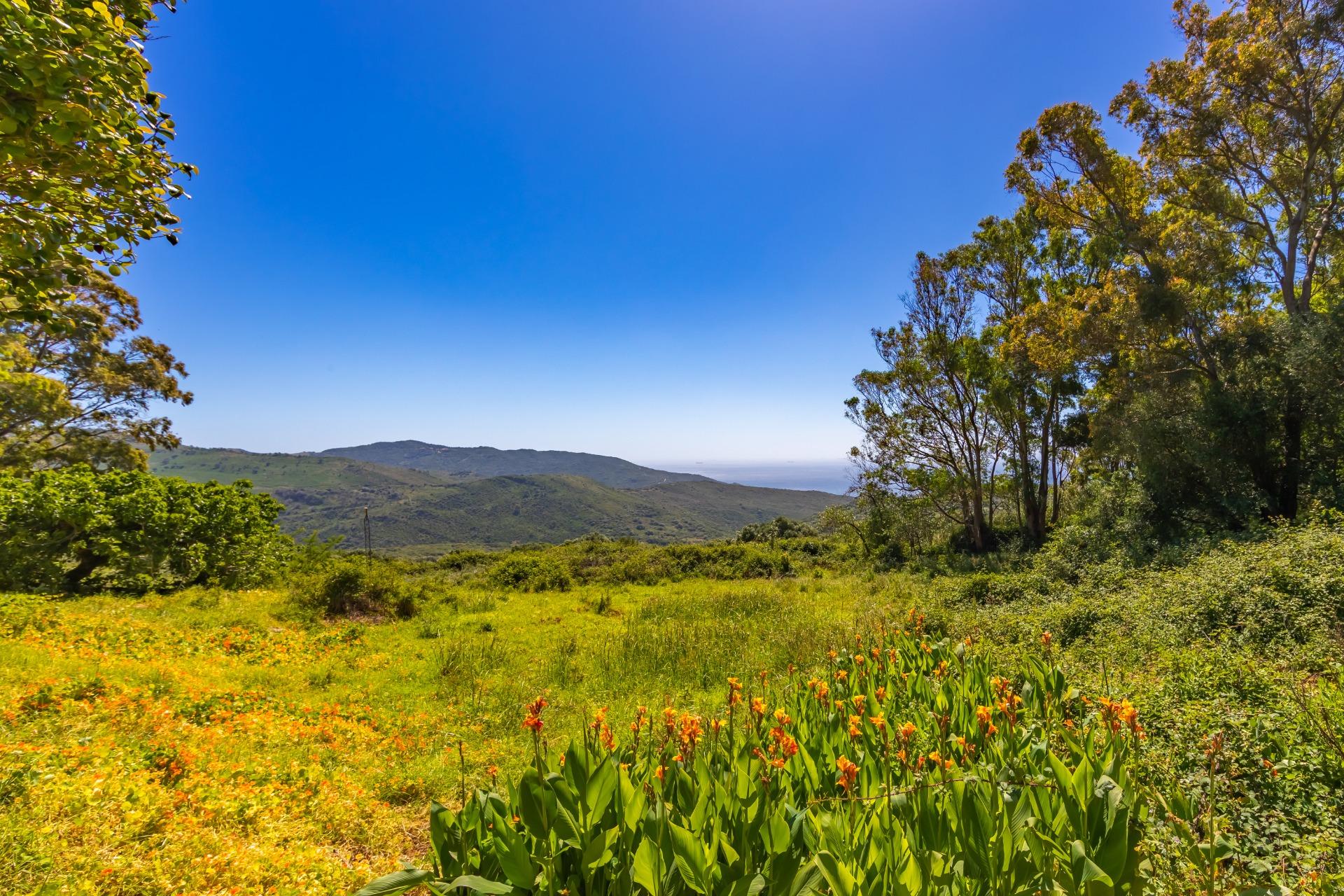 Cortijo · Tarifa · (bella00162)
