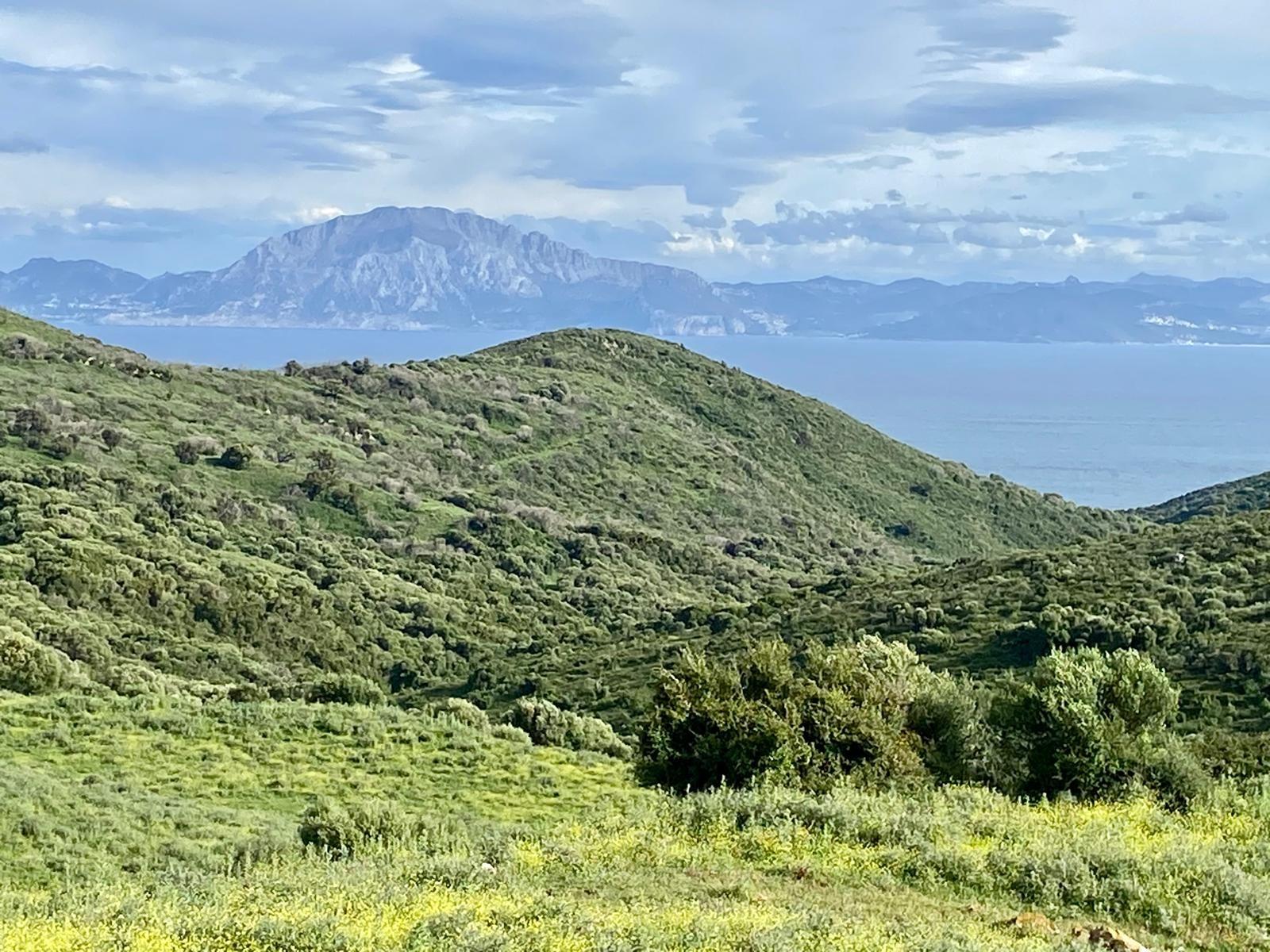 Cortijo · Tarifa · (bella00162)