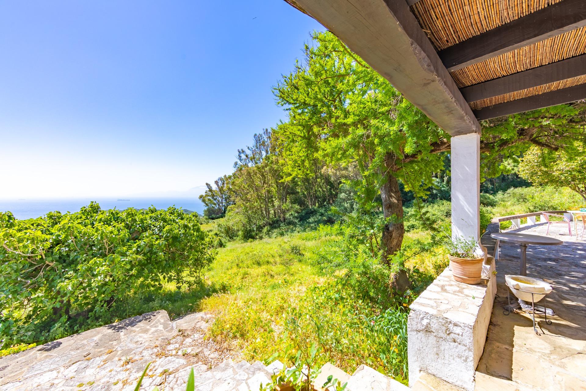 Cortijo · Tarifa · (bella00162)