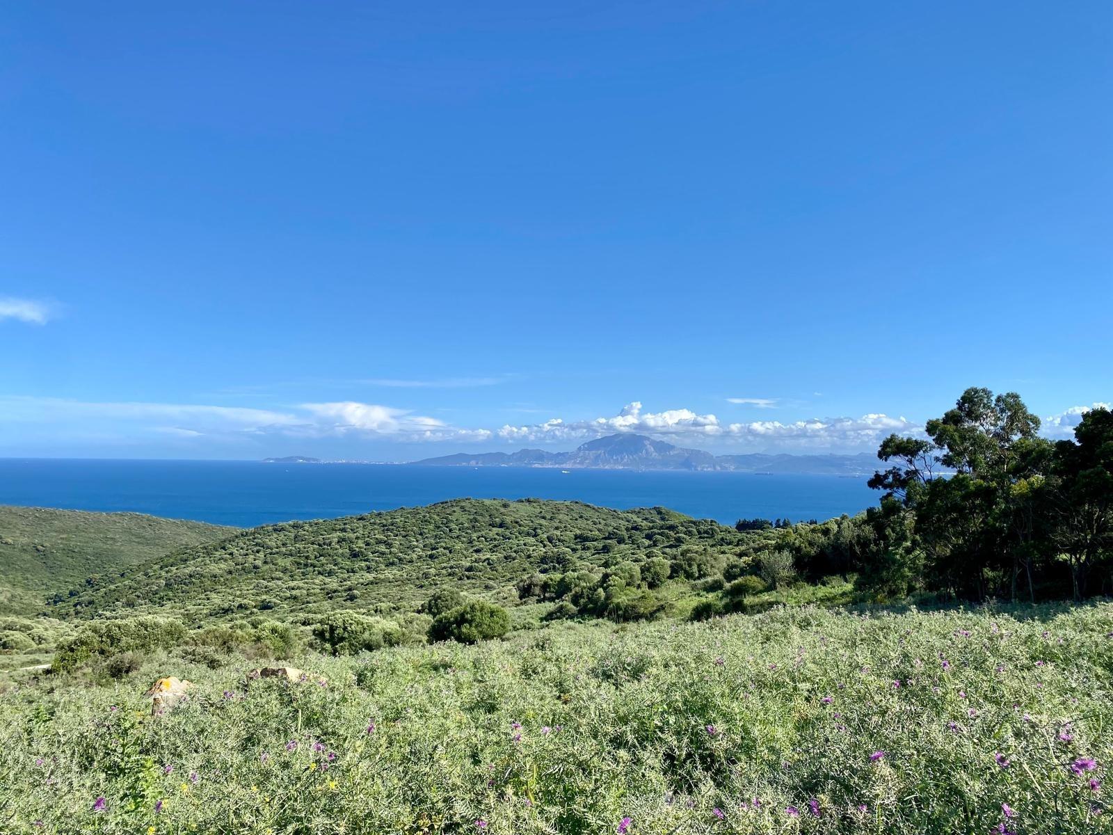 Cortijo · Tarifa · (bella00162)