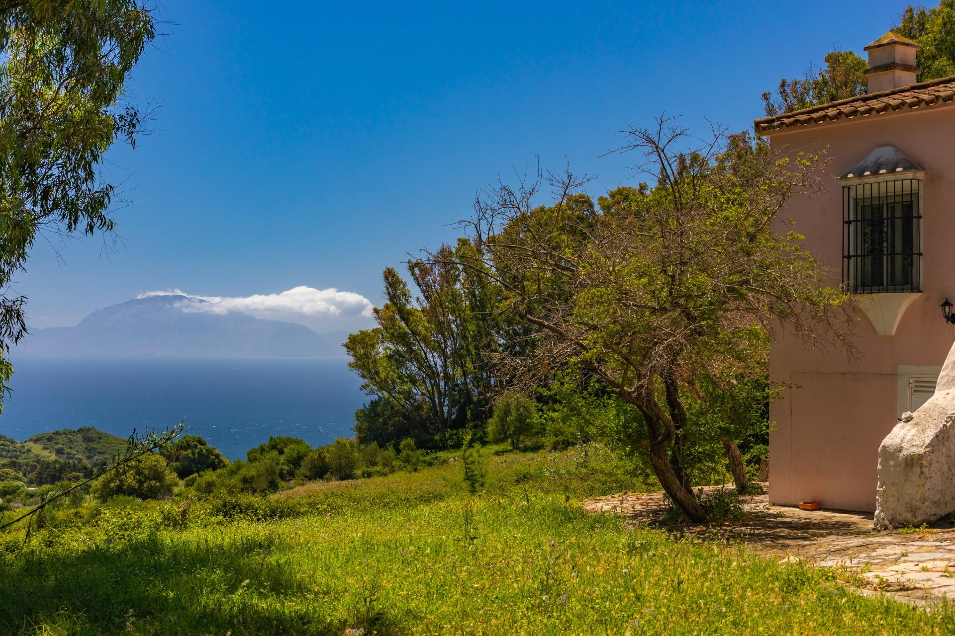 Cortijo · Tarifa · (bella00162)