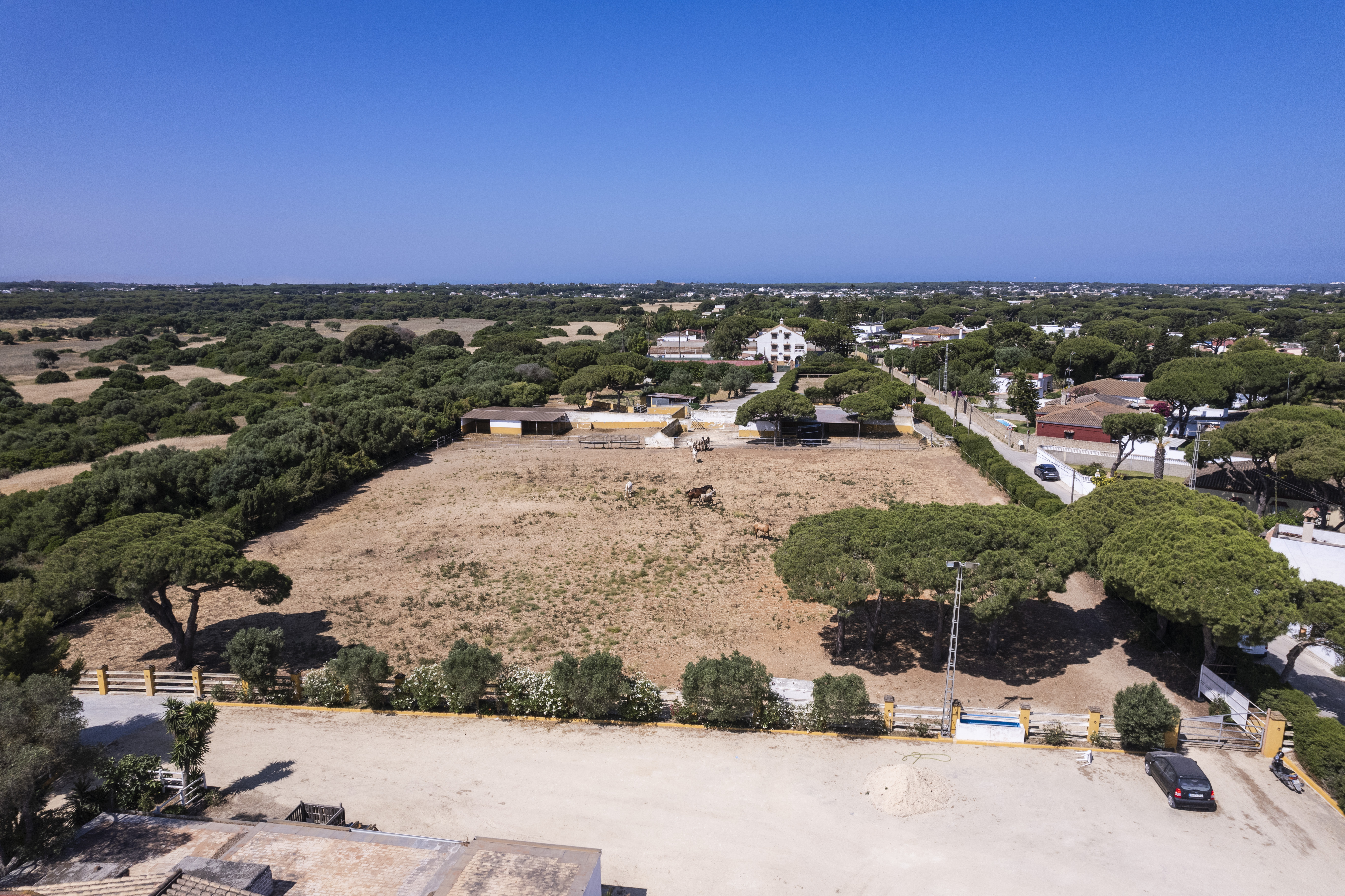 Finca · Chiclana de la Frontera · (963-00079P)