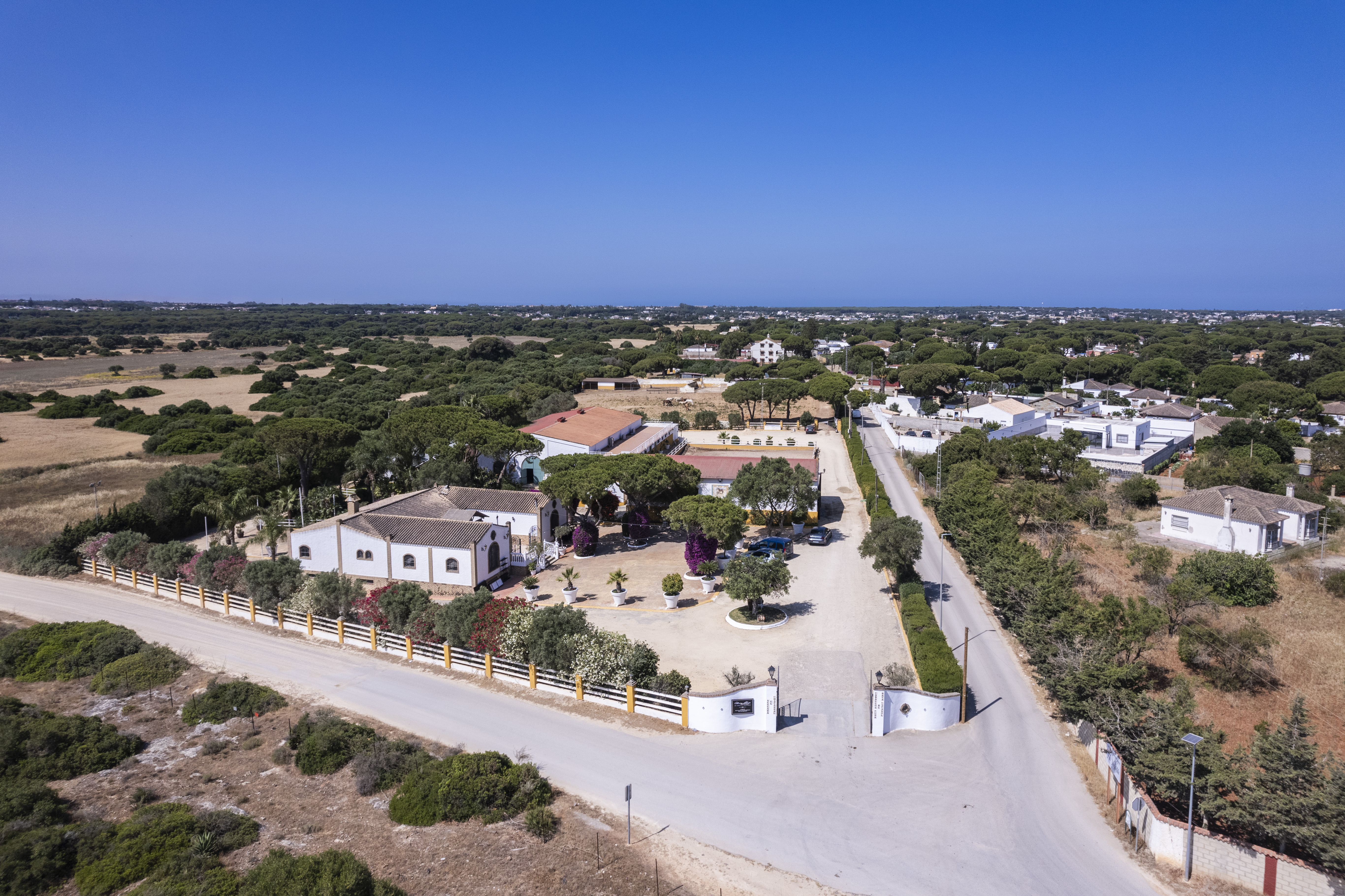 Finca · Chiclana de la Frontera · (963-00079P)