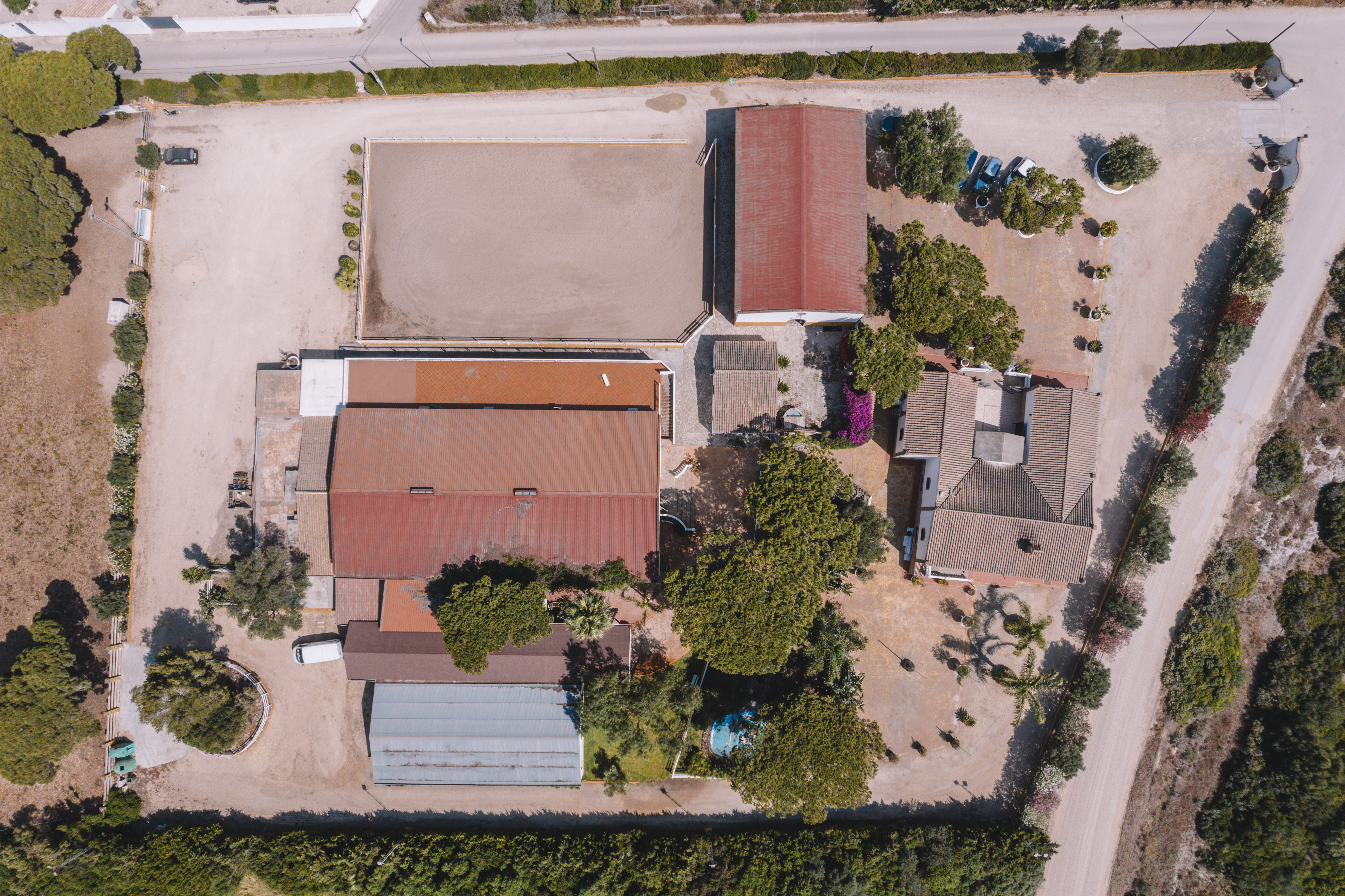 Finca · Chiclana de la Frontera · (963-00079P)