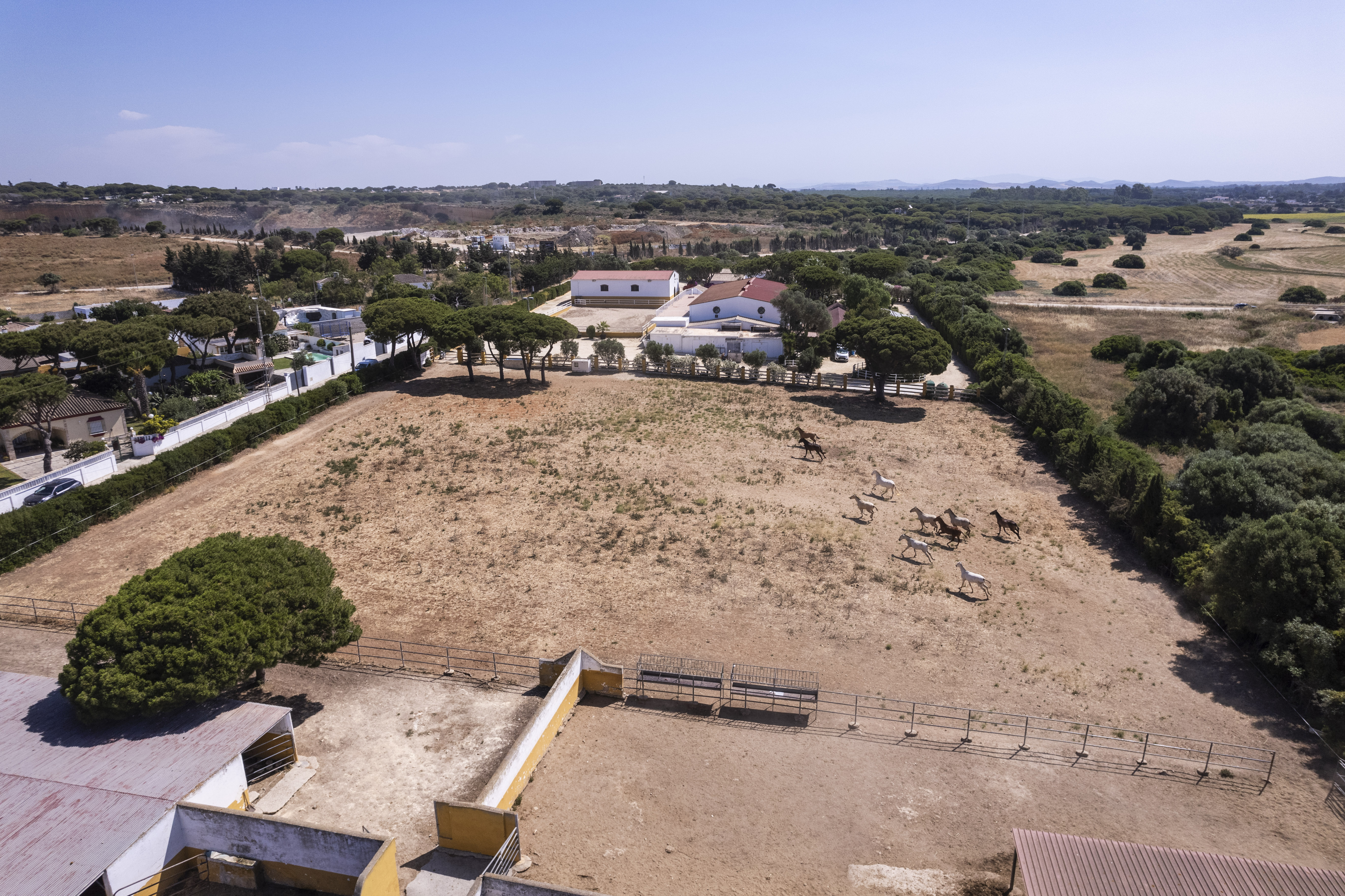Finca · Chiclana de la Frontera · (963-00079P)