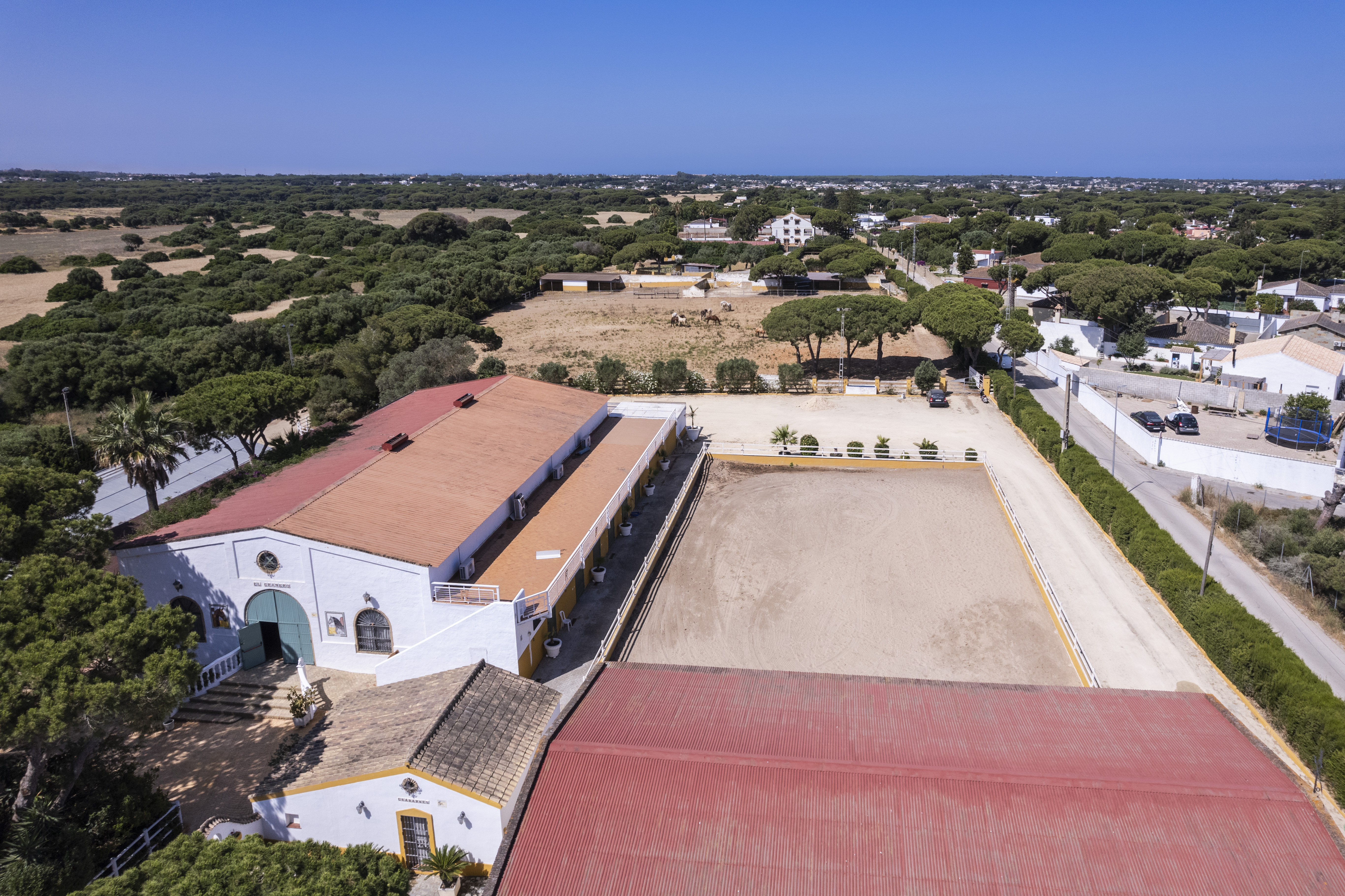 Finca · Chiclana de la Frontera · (963-00079P)