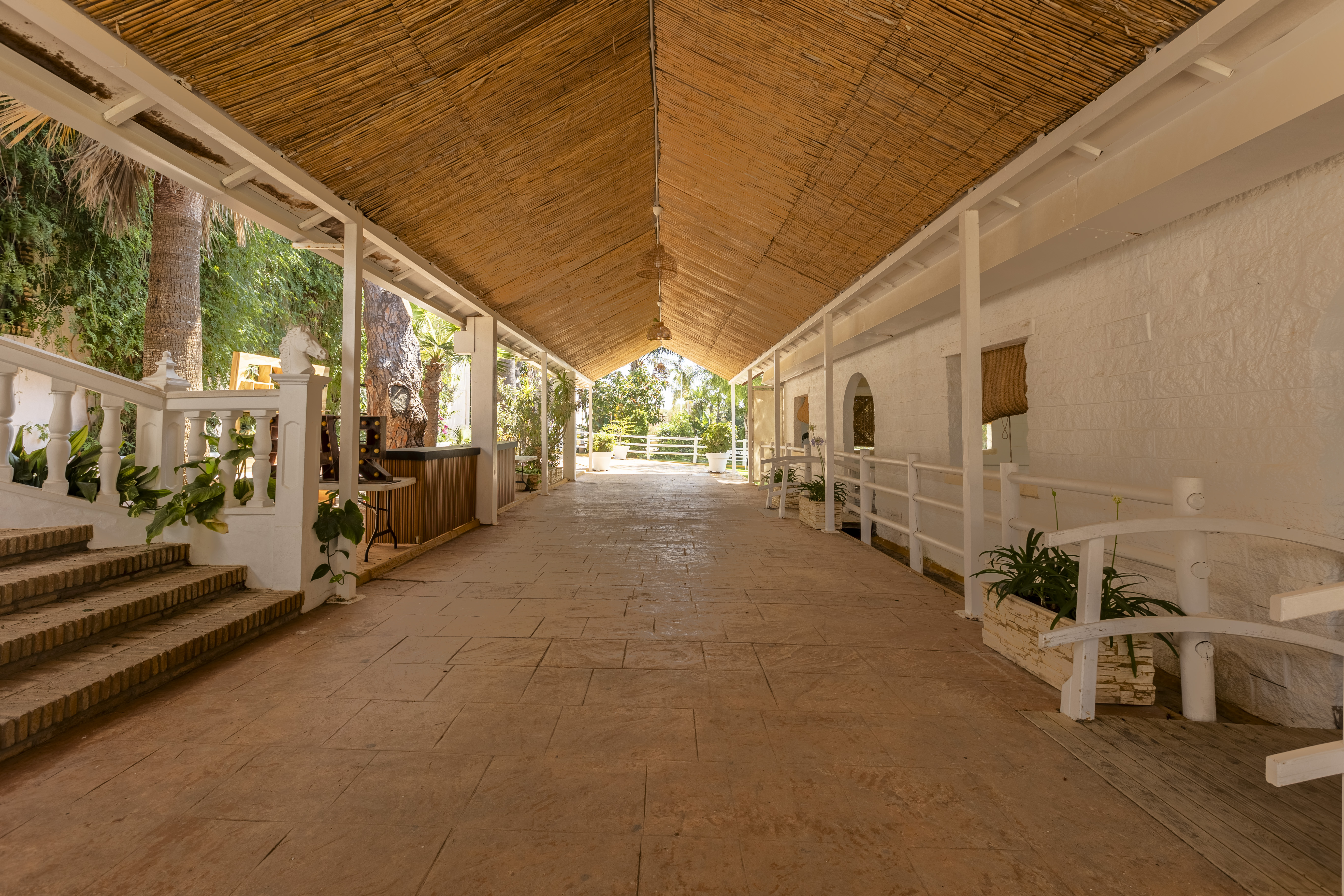 Finca · Chiclana de la Frontera · (963-00079P)
