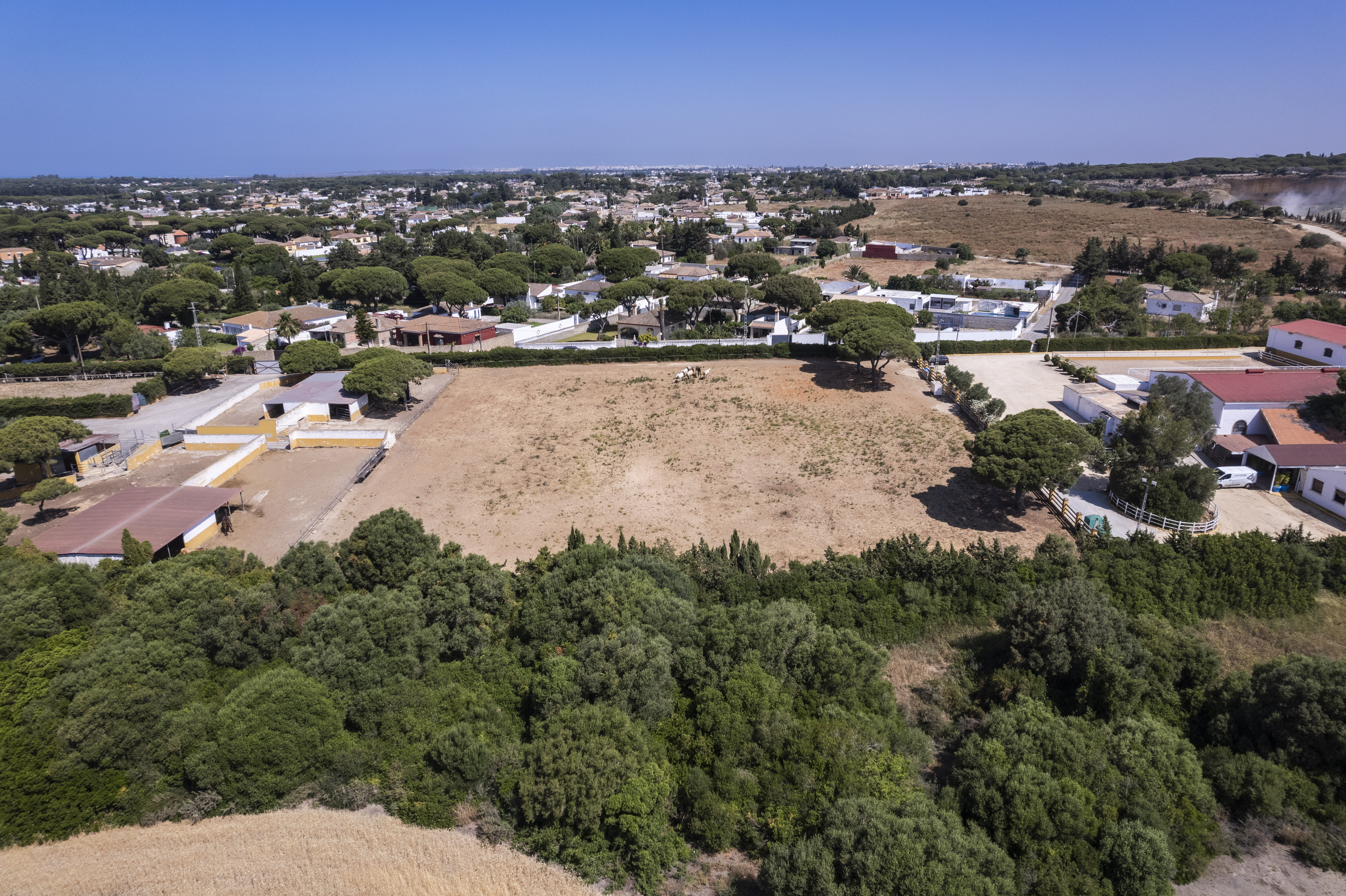 Finca · Chiclana de la Frontera · (963-00079P)