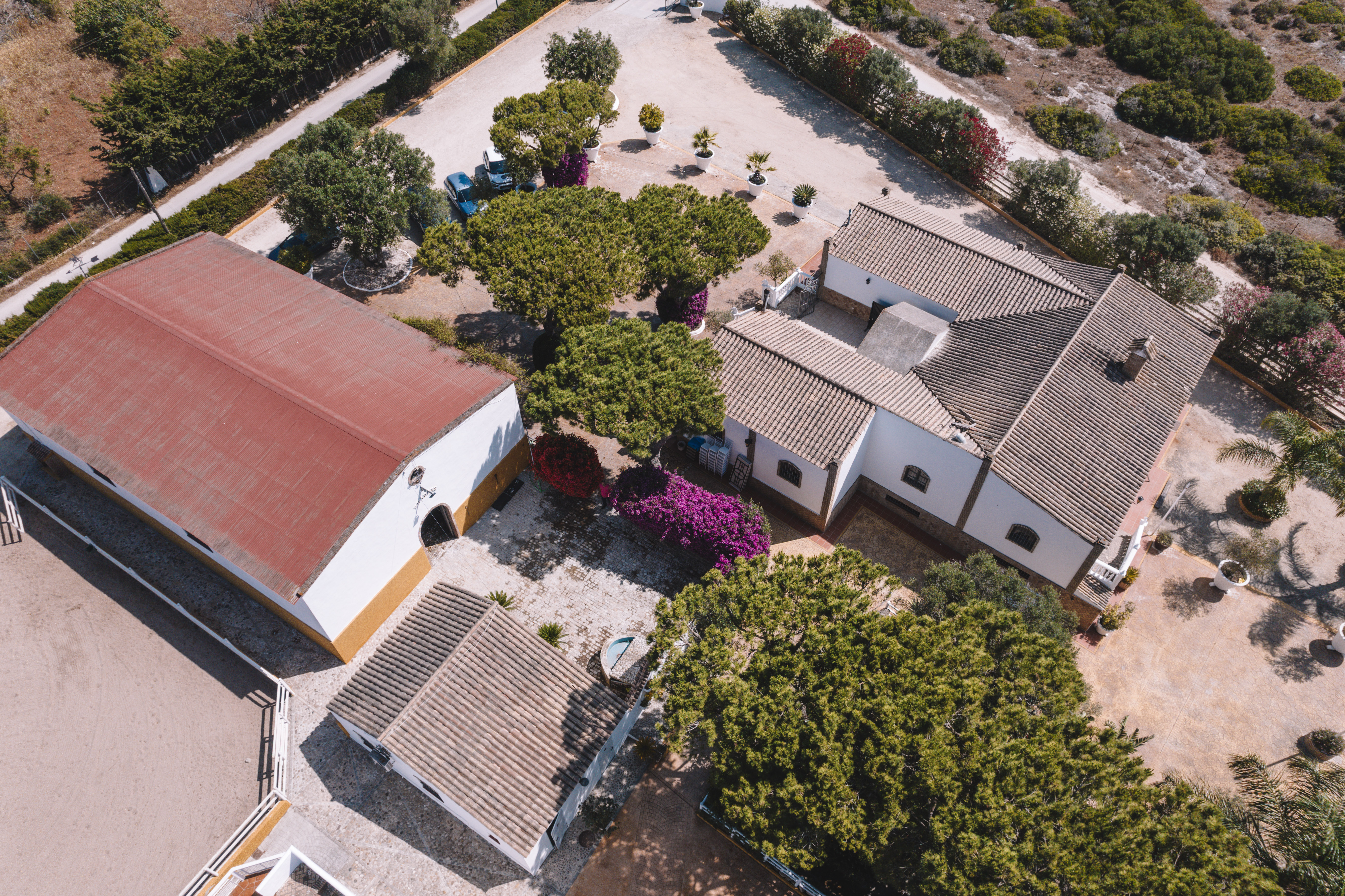 Finca · Chiclana de la Frontera · (963-00079P)
