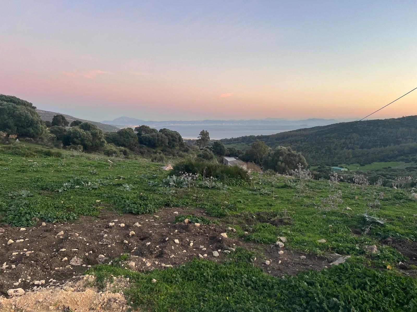 Plot · Tarifa · (963-00218P)