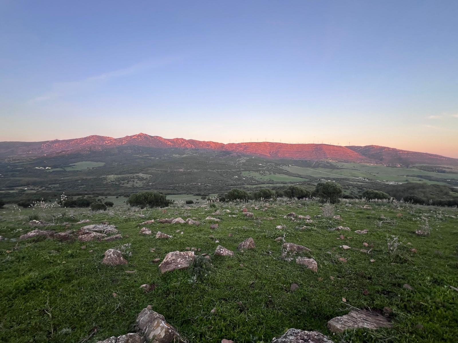 Plot · Tarifa · (963-00218P)