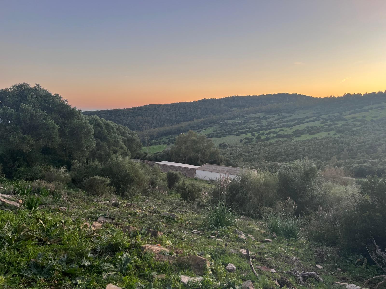 Plot · Tarifa · (963-00218P)