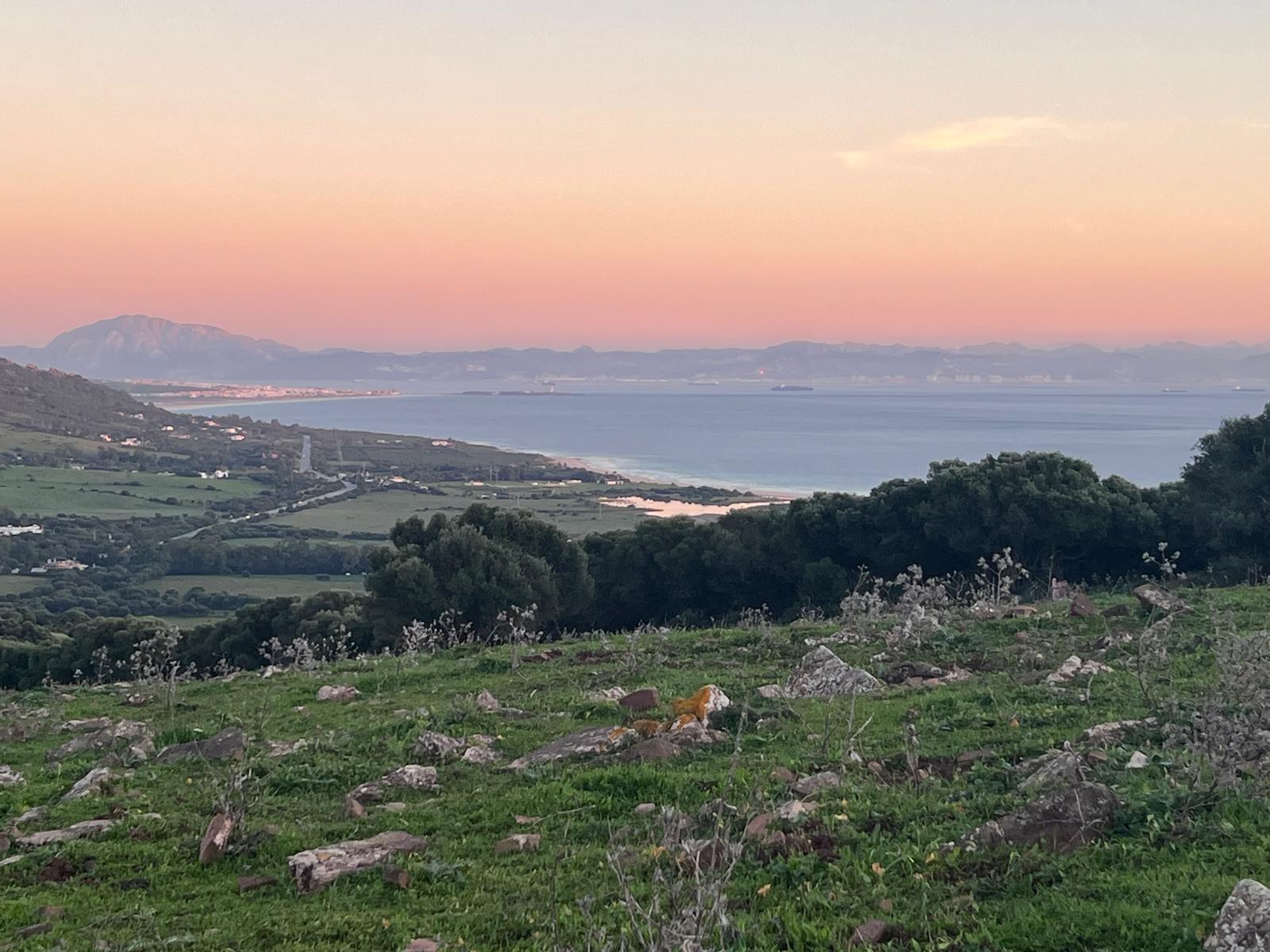 Plot · Tarifa · (963-00218P)