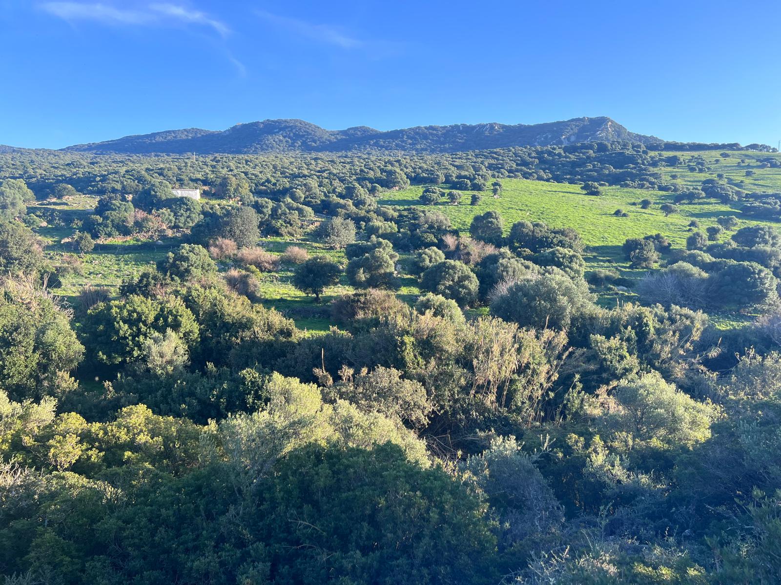 Plot · Tarifa · (963-00218P)