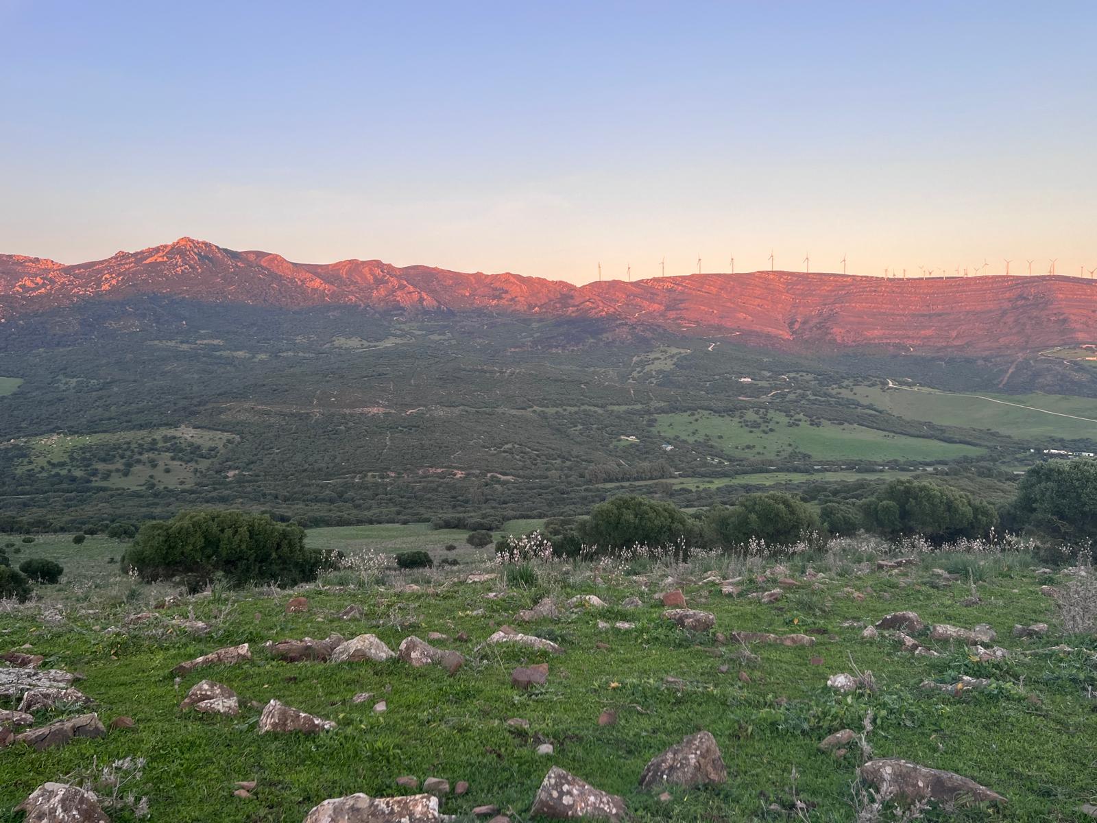 Plot · Tarifa · (963-00218P)