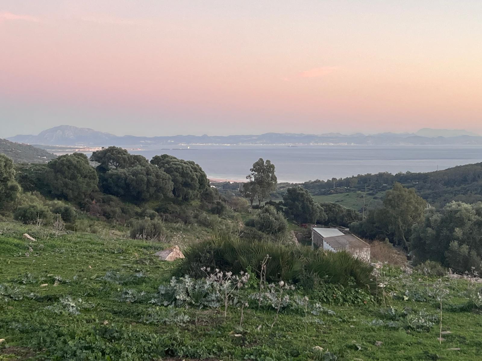 Plot · Tarifa · (963-00218P)