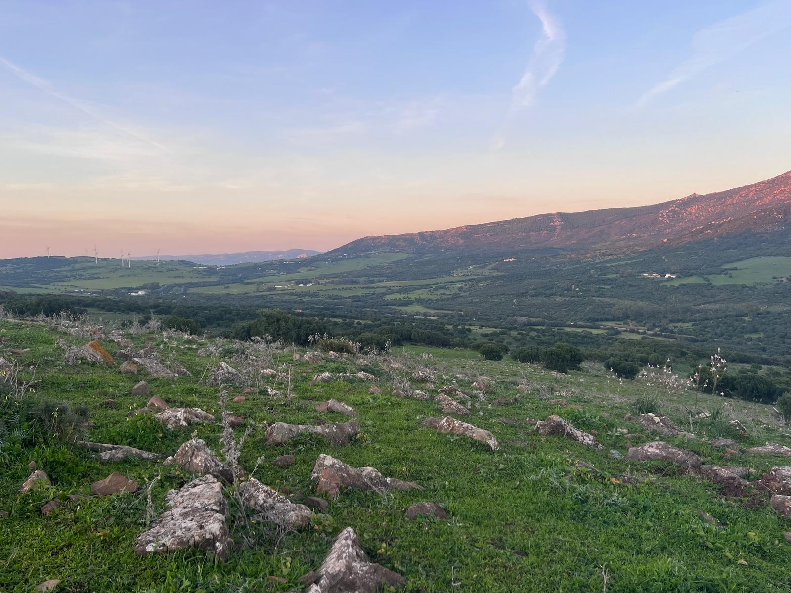Plot · Tarifa · (963-00218P)
